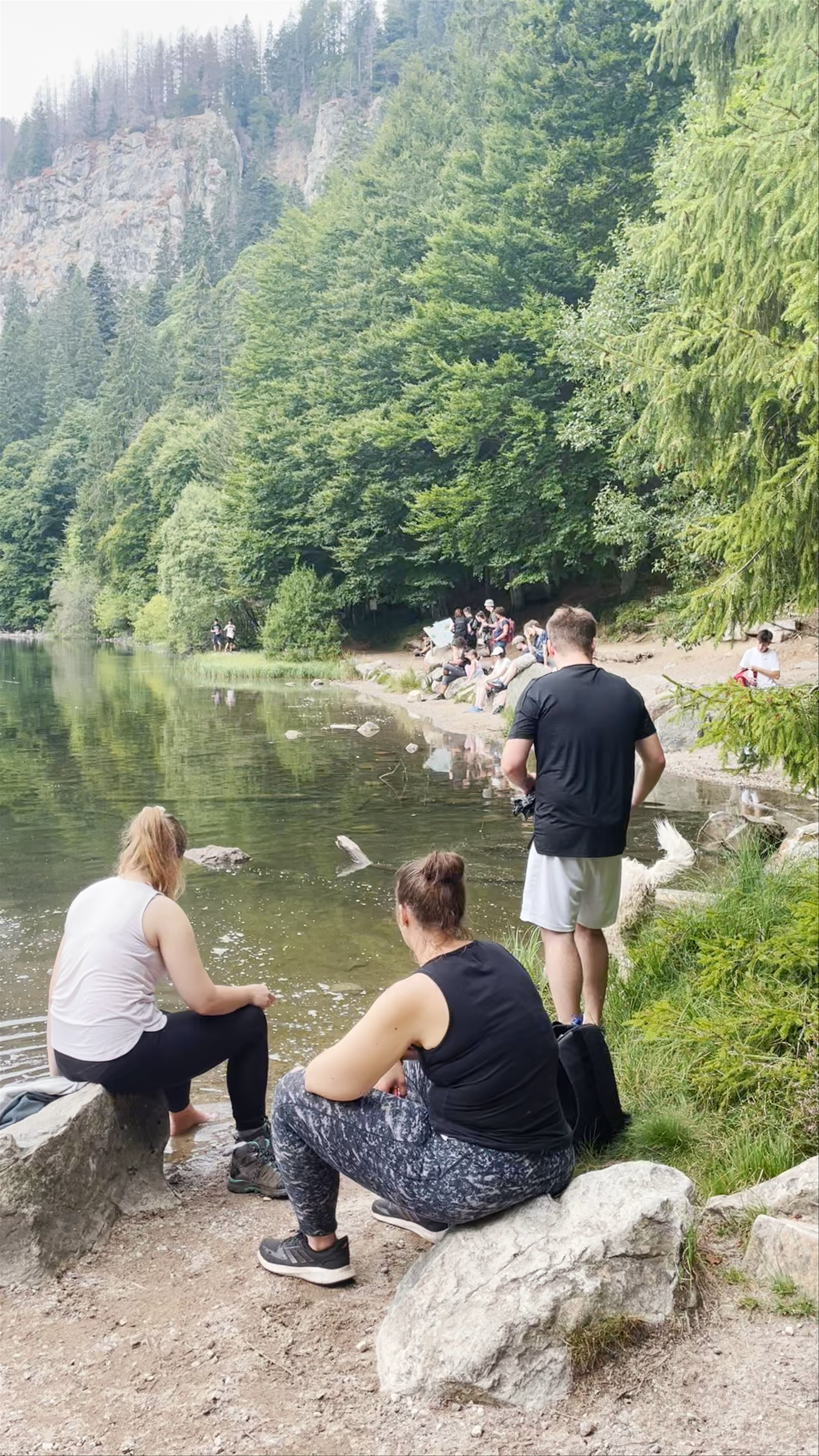 Serene Moments at Feldsee Lake in Feldberg, Germany