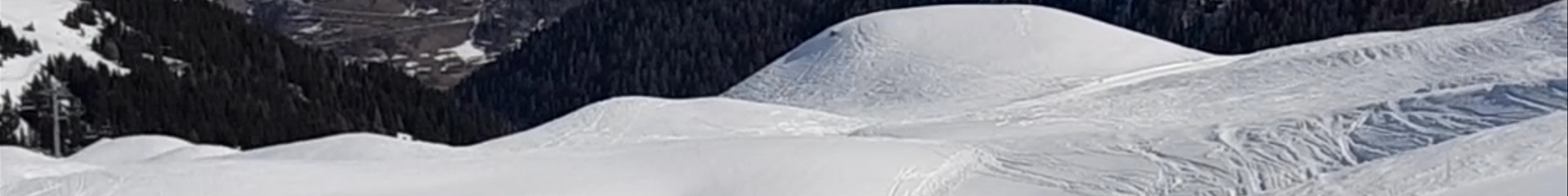 Tours & experiences in Albertville