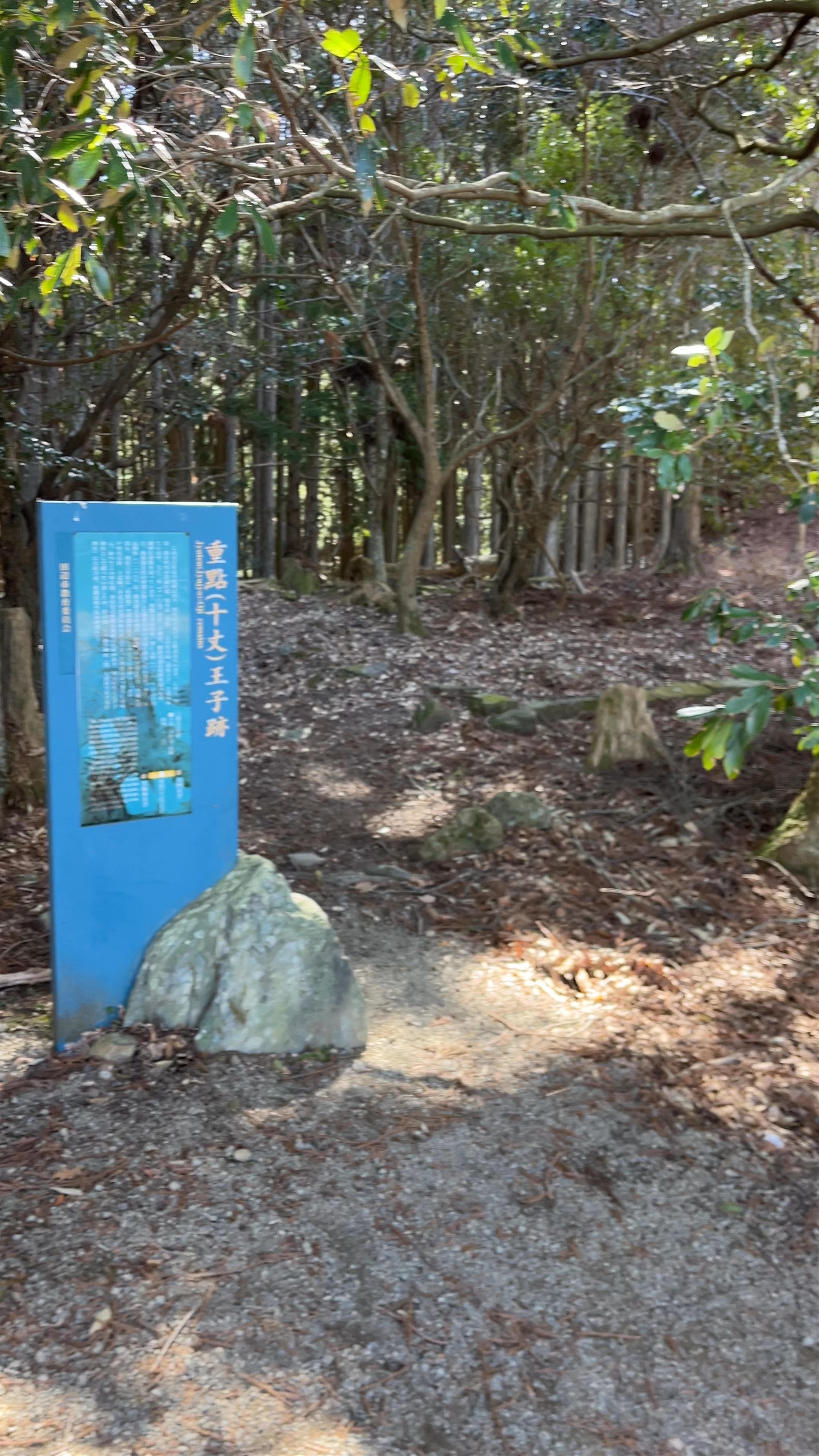 Juten (Jujo)-Oji Remains