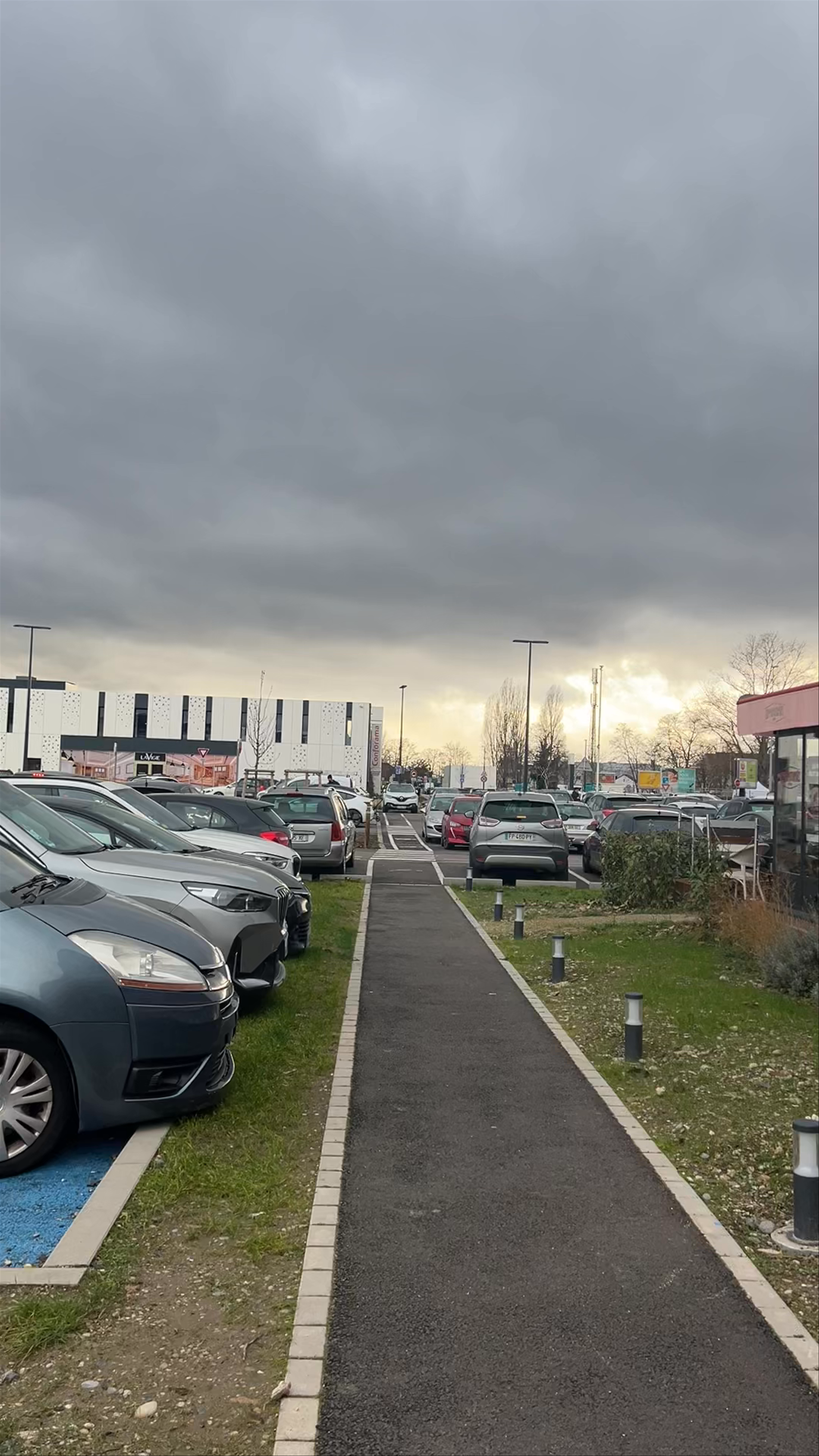 Hippopotamus La Vigie