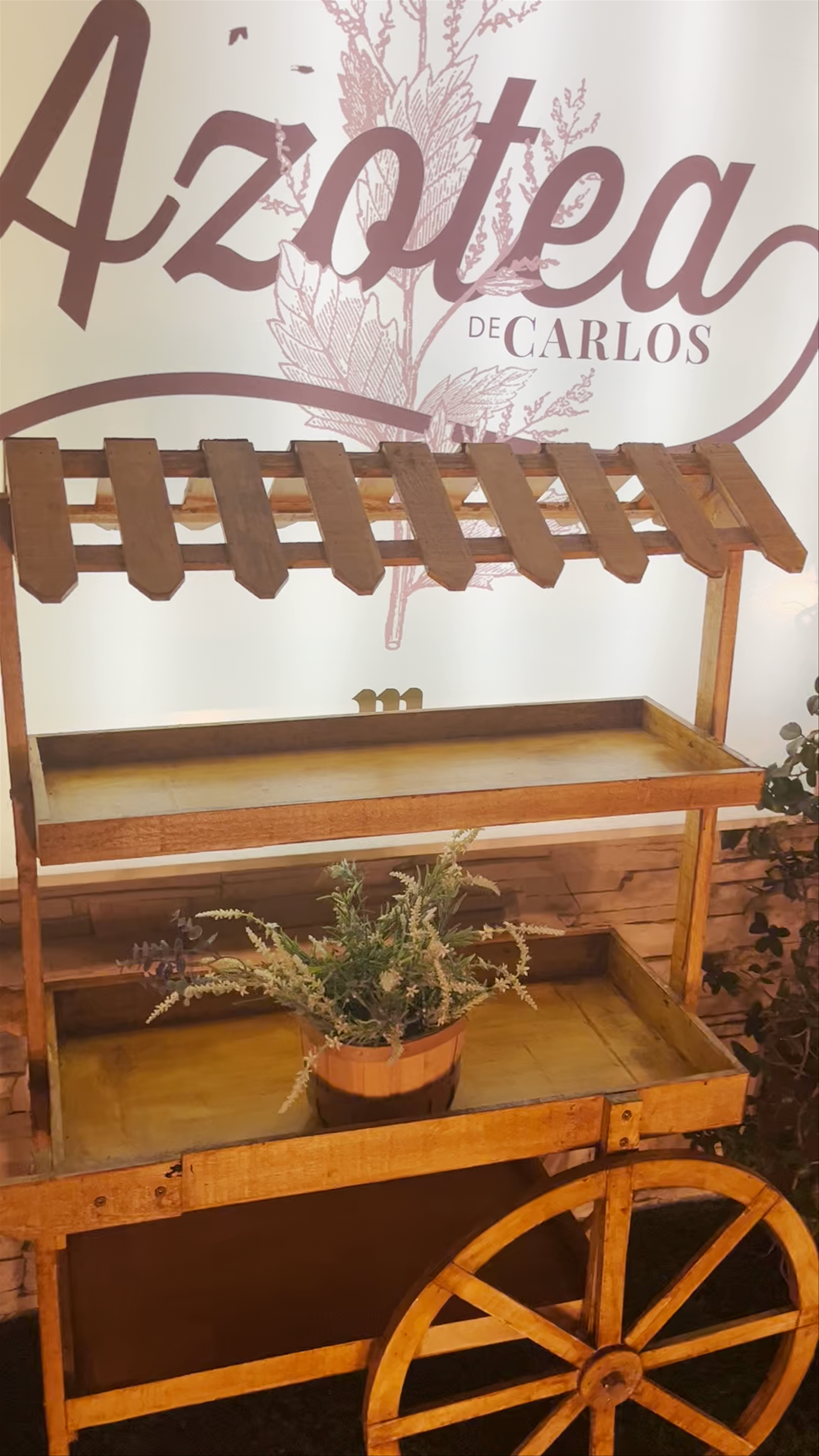 Hotel Carlos V