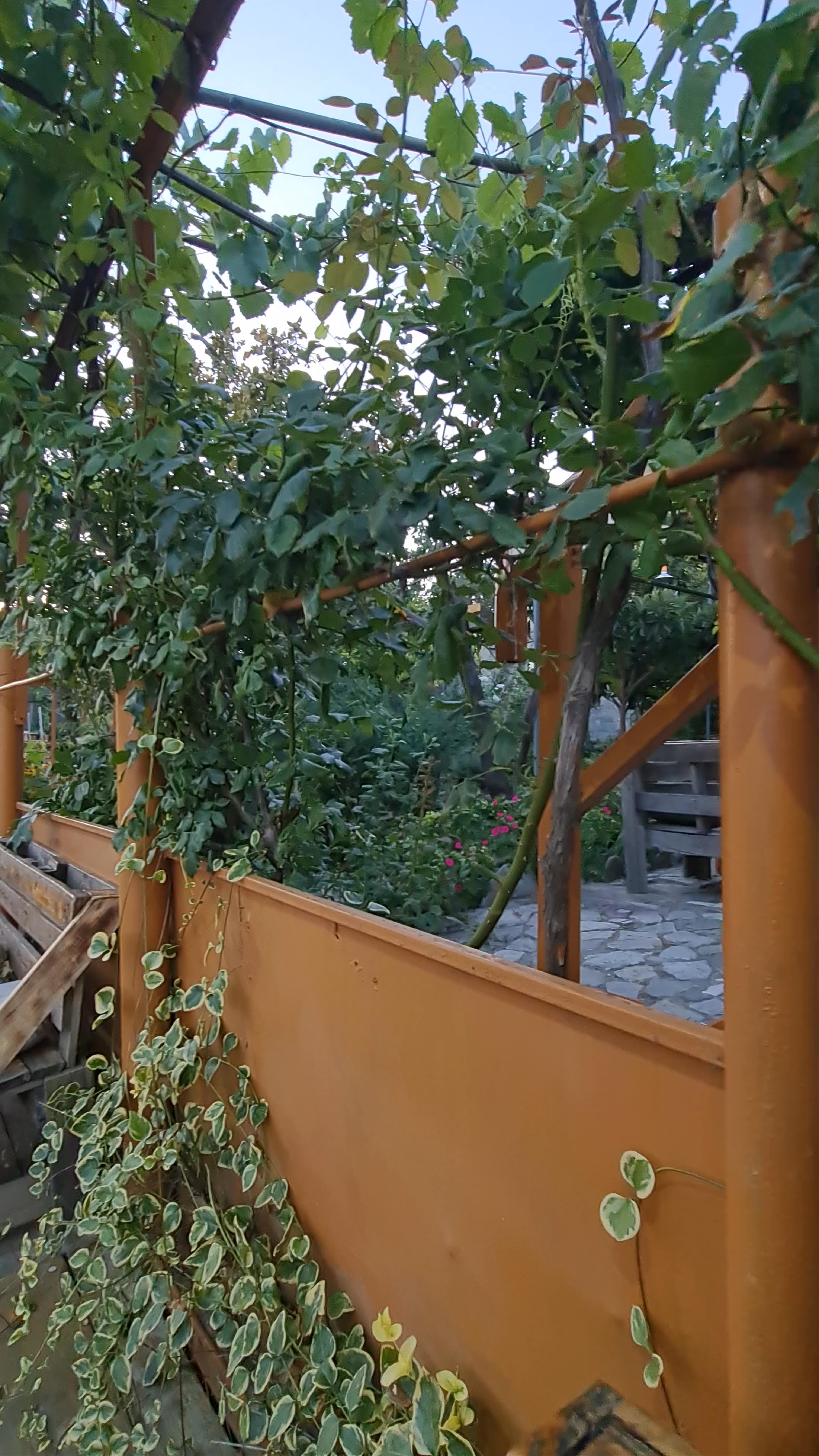 Cafe on the river Bagineti