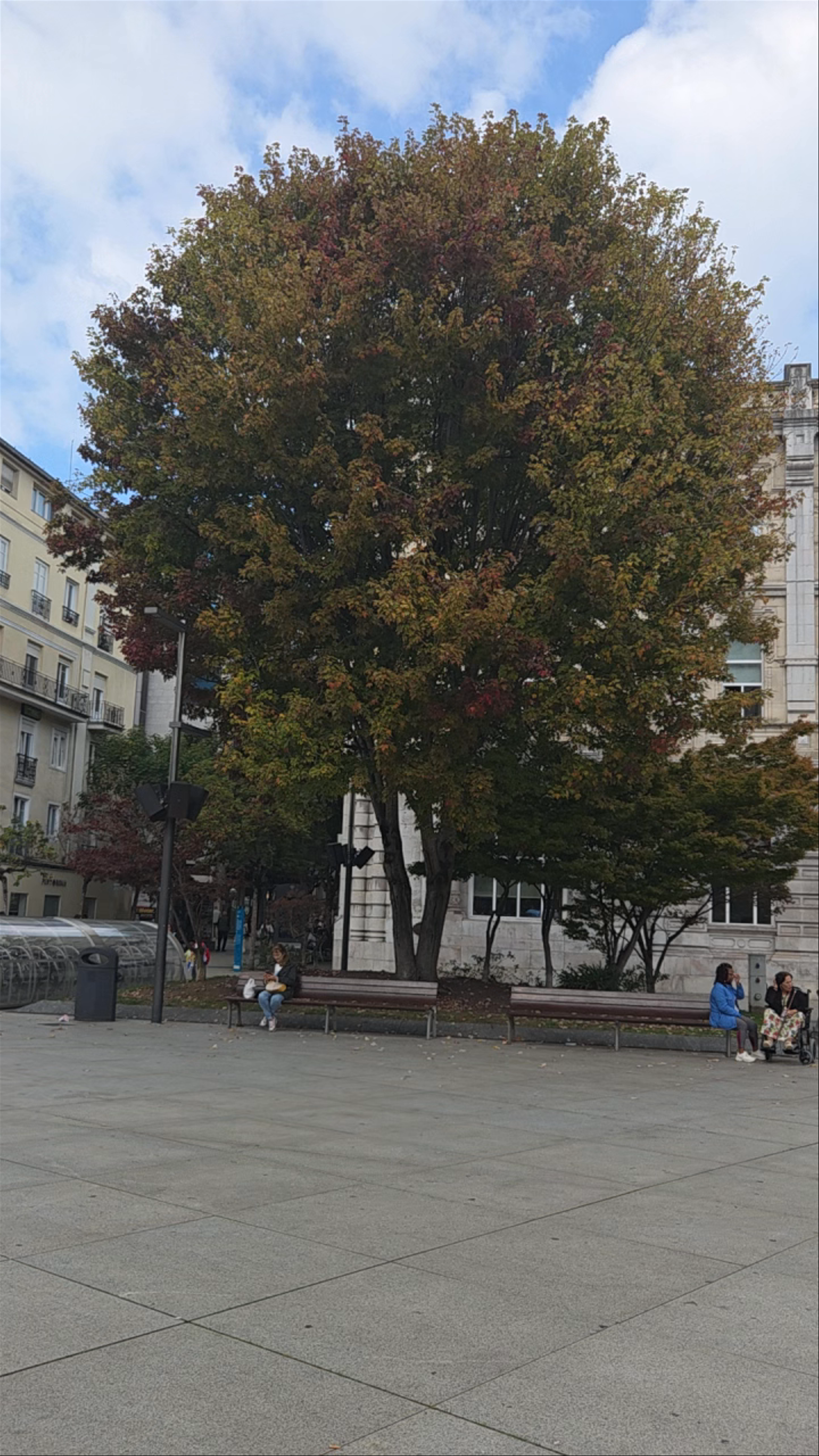 Ayuntamiento de Santander