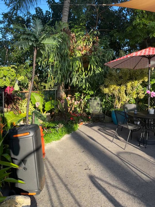 CocoCane Shack - Juice Bars & Smoothies Near Me - Davie, Florida