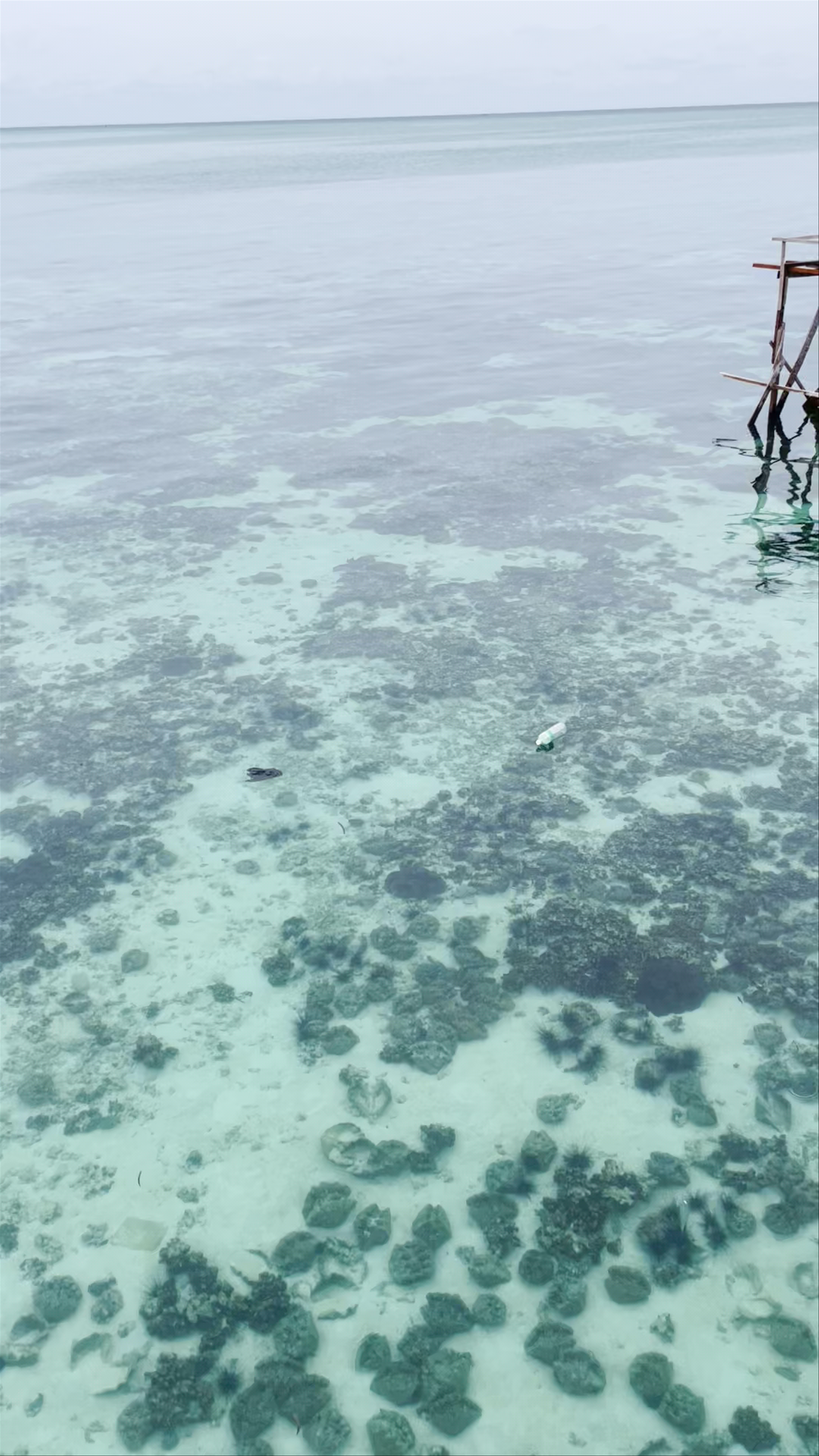 Mabul Island (Pulau Mabul)