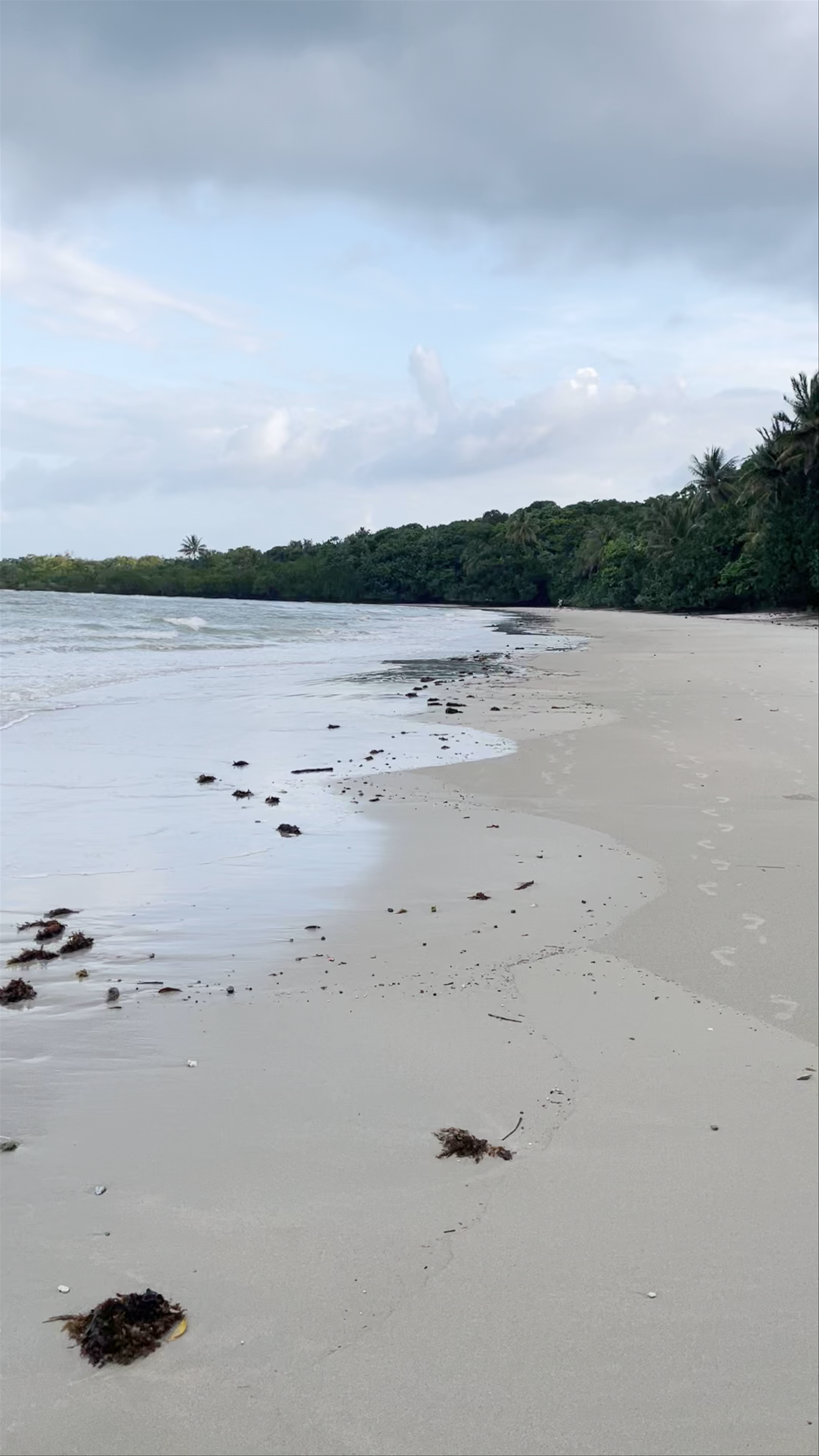 Cape Tribulation Camping