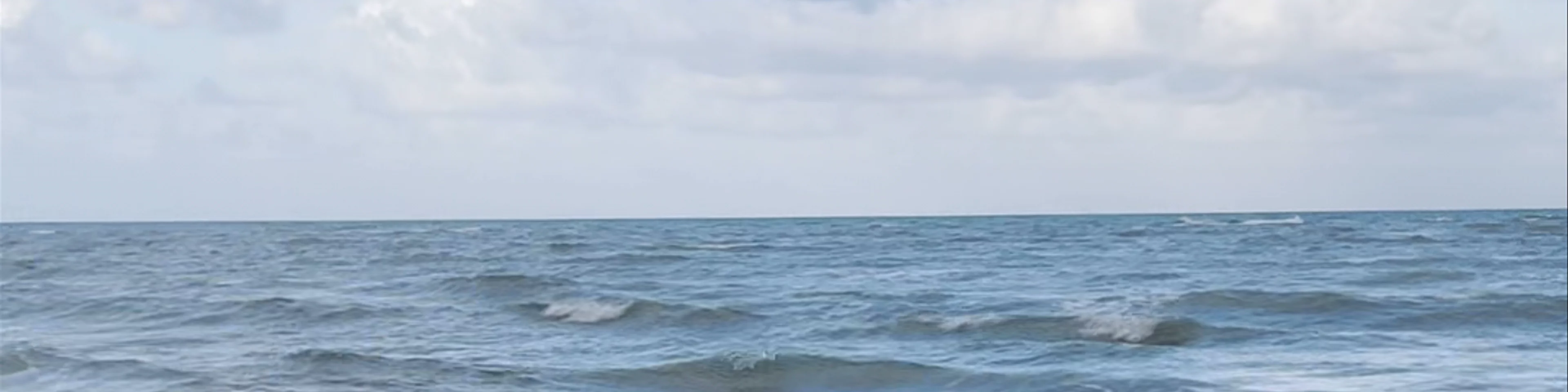 Cape Tribulation Camping