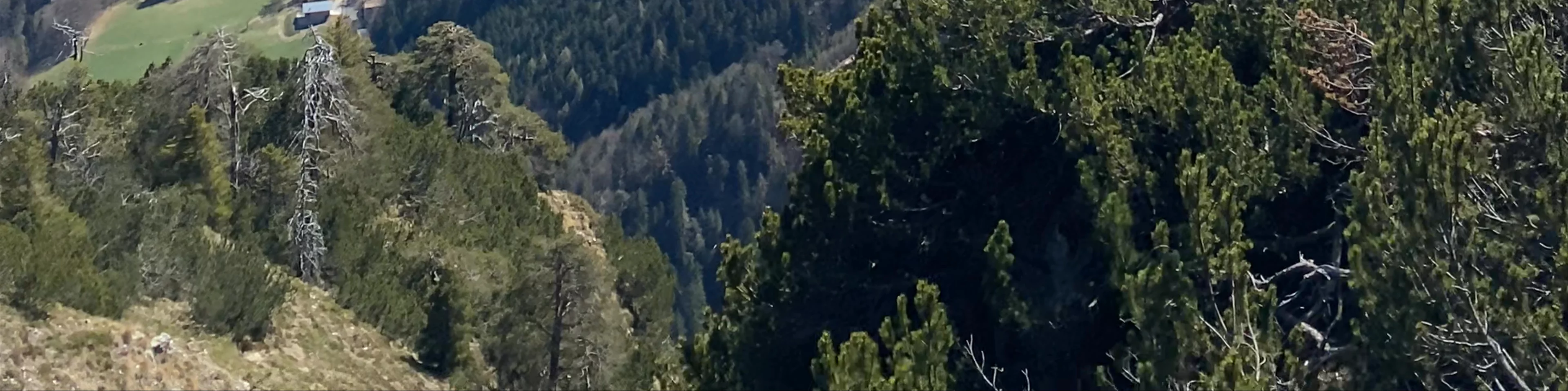 Corno Di Tres