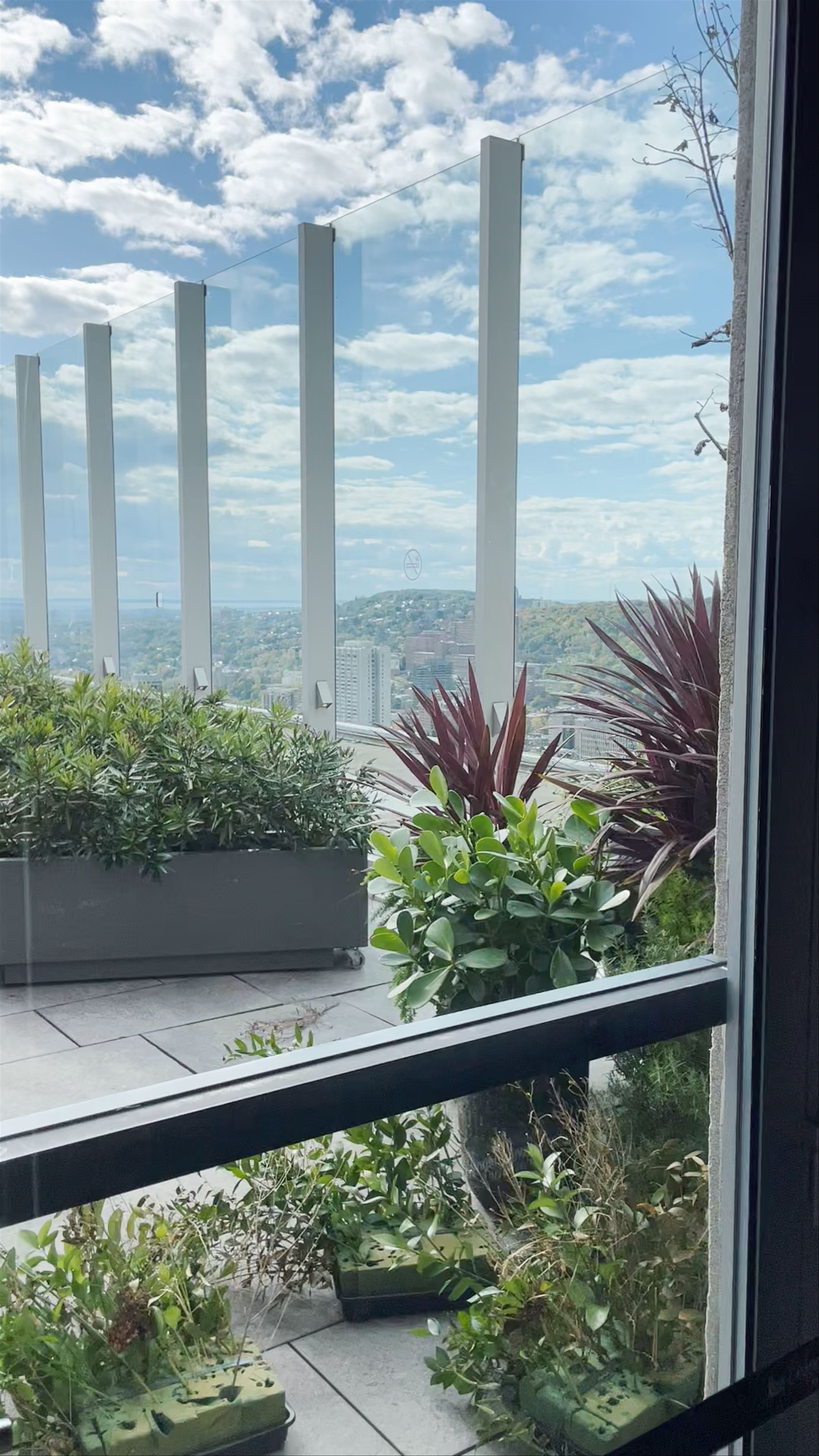 Les Enfants Terribles