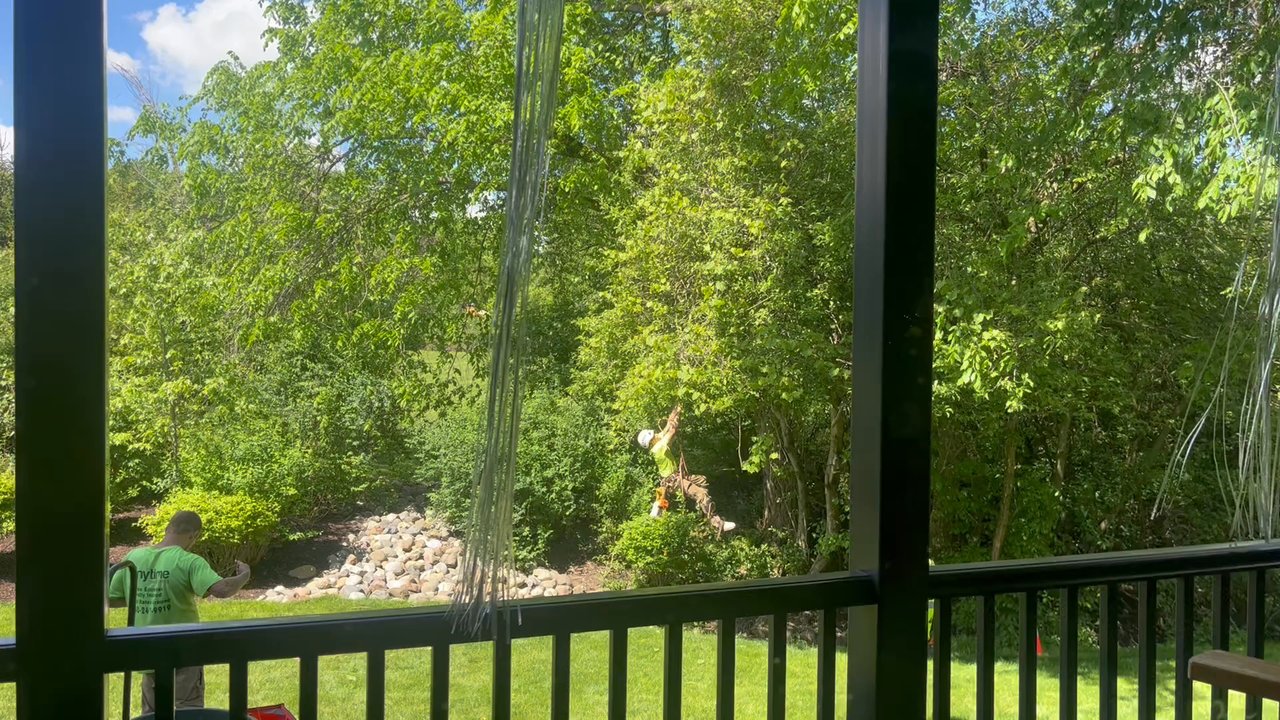 Anytime Tree Service - Tree Services Near Me - Medina, Ohio