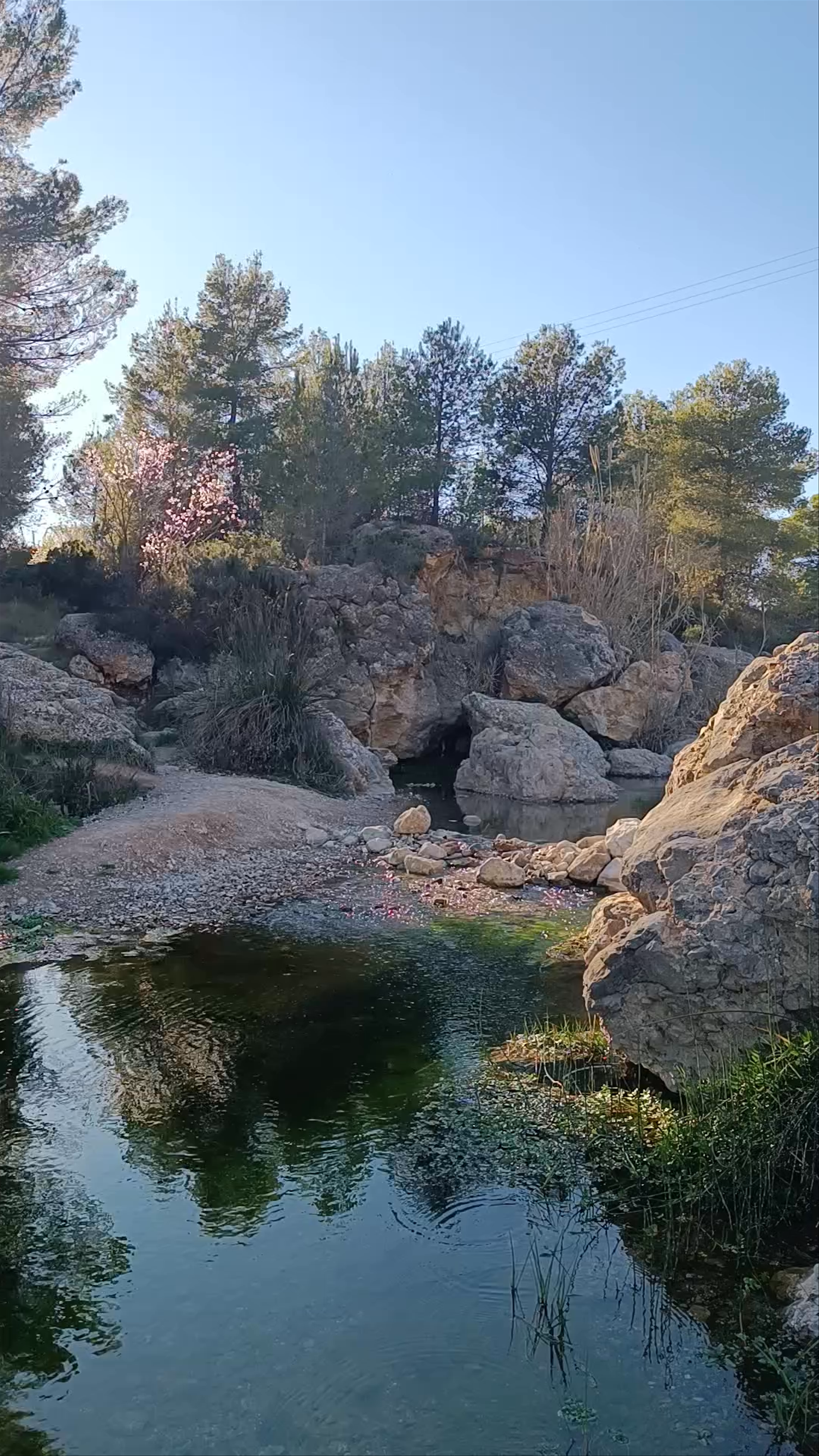 Río Mula