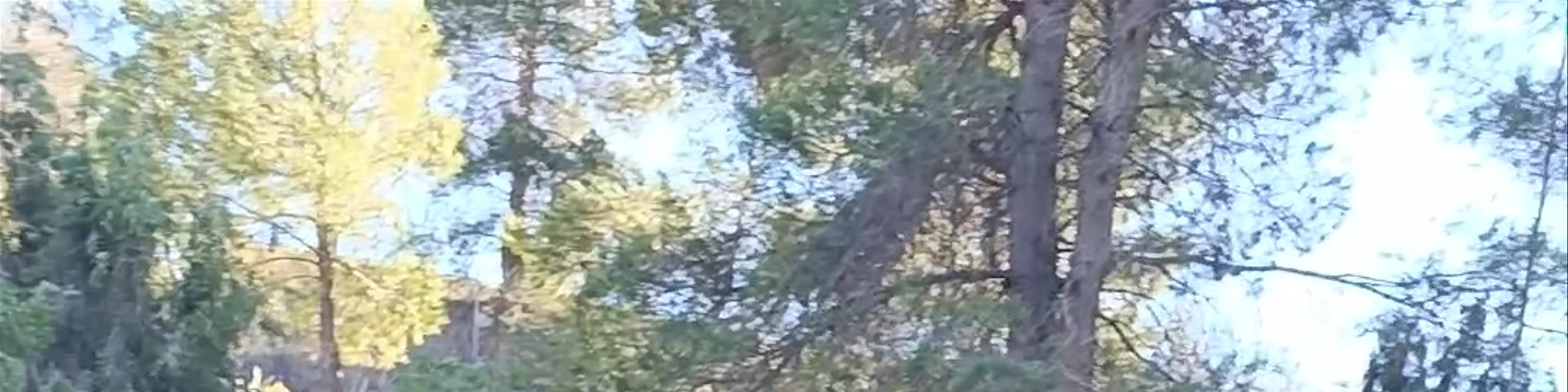 Río Mula