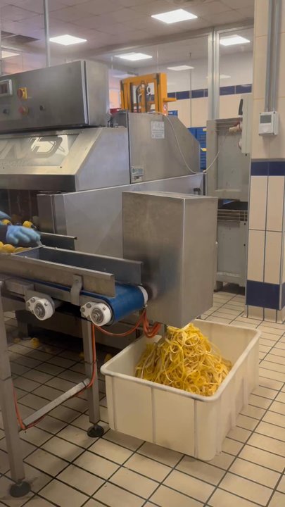 World Tours - Making Limoncello - Historical Tours Near Me - Naples, NA