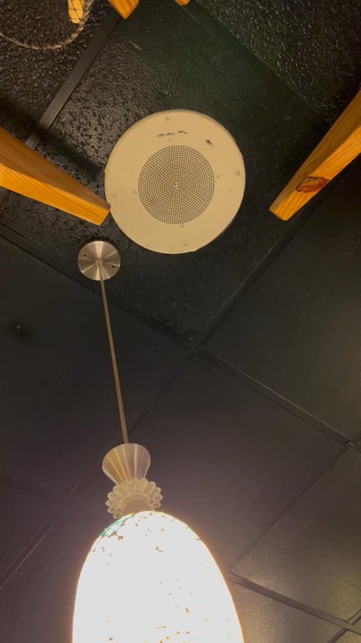 The Madden Crab - The speaker was right above the table playing mostly commercials that were mostly static. It was very loud and annoying. - Seafood Near Me - Tupelo, Mississippi