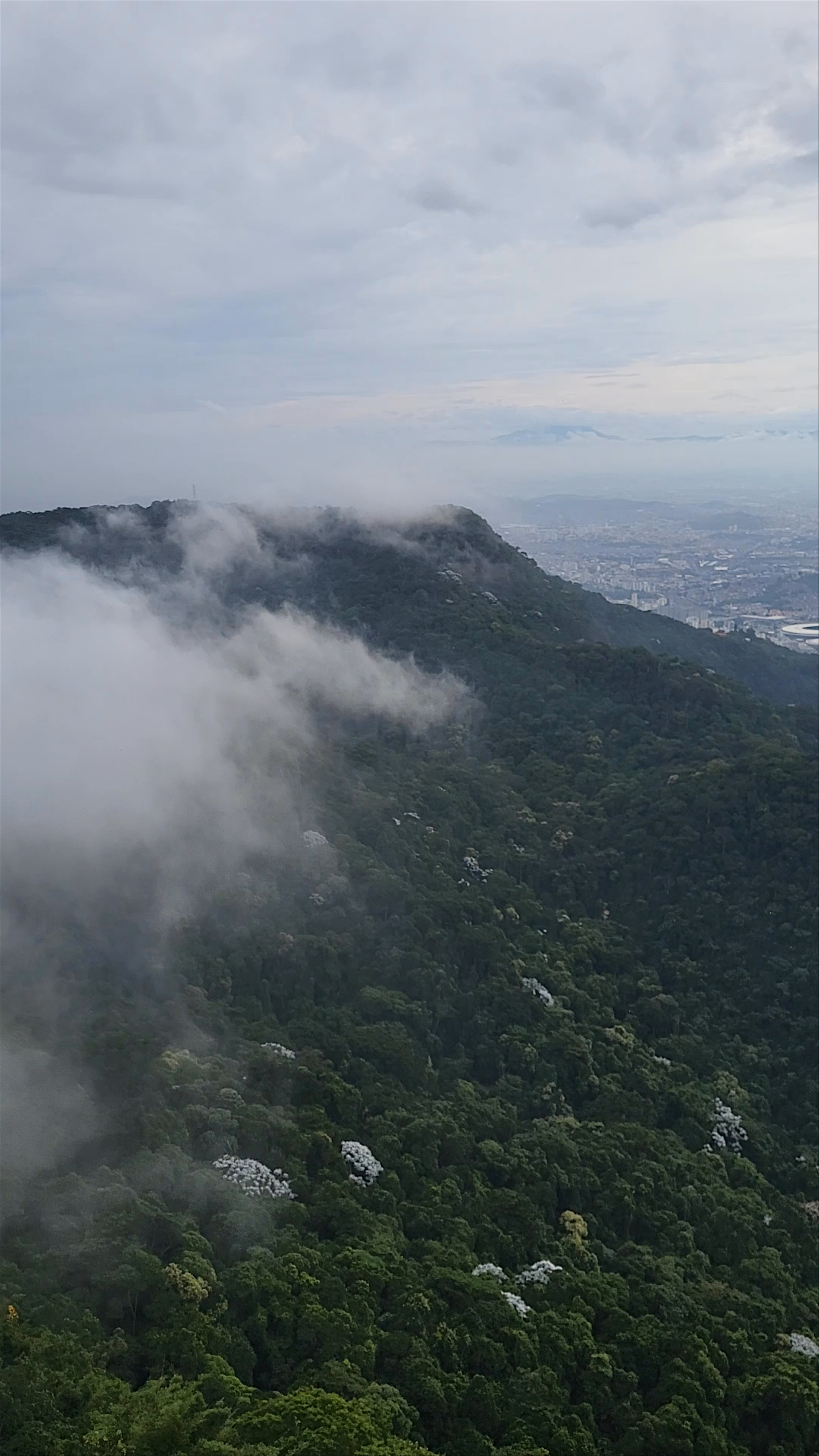 Christ the Redeemer - Alto da Boa Vista