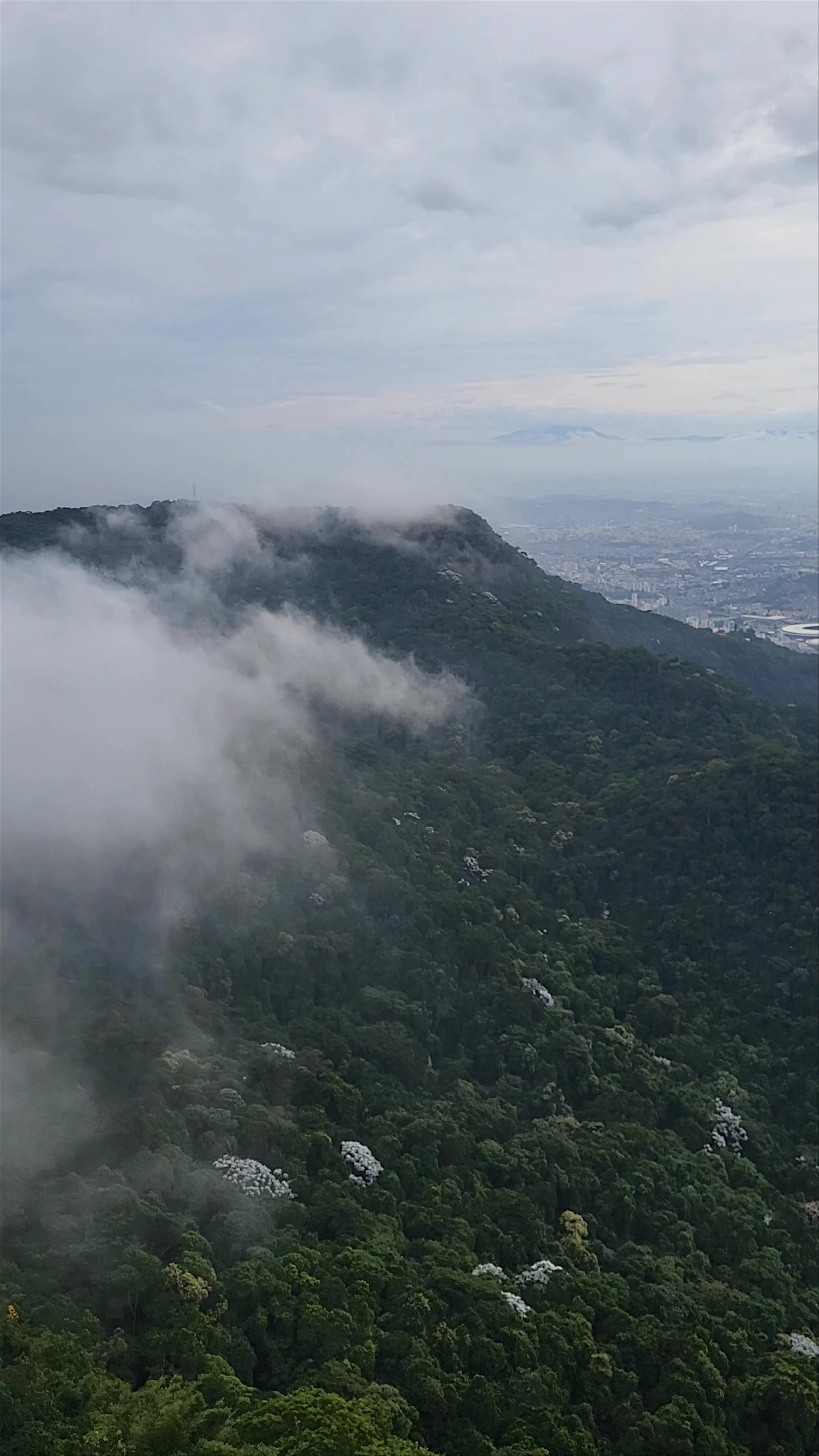 Christ the Redeemer - Alto da Boa Vista