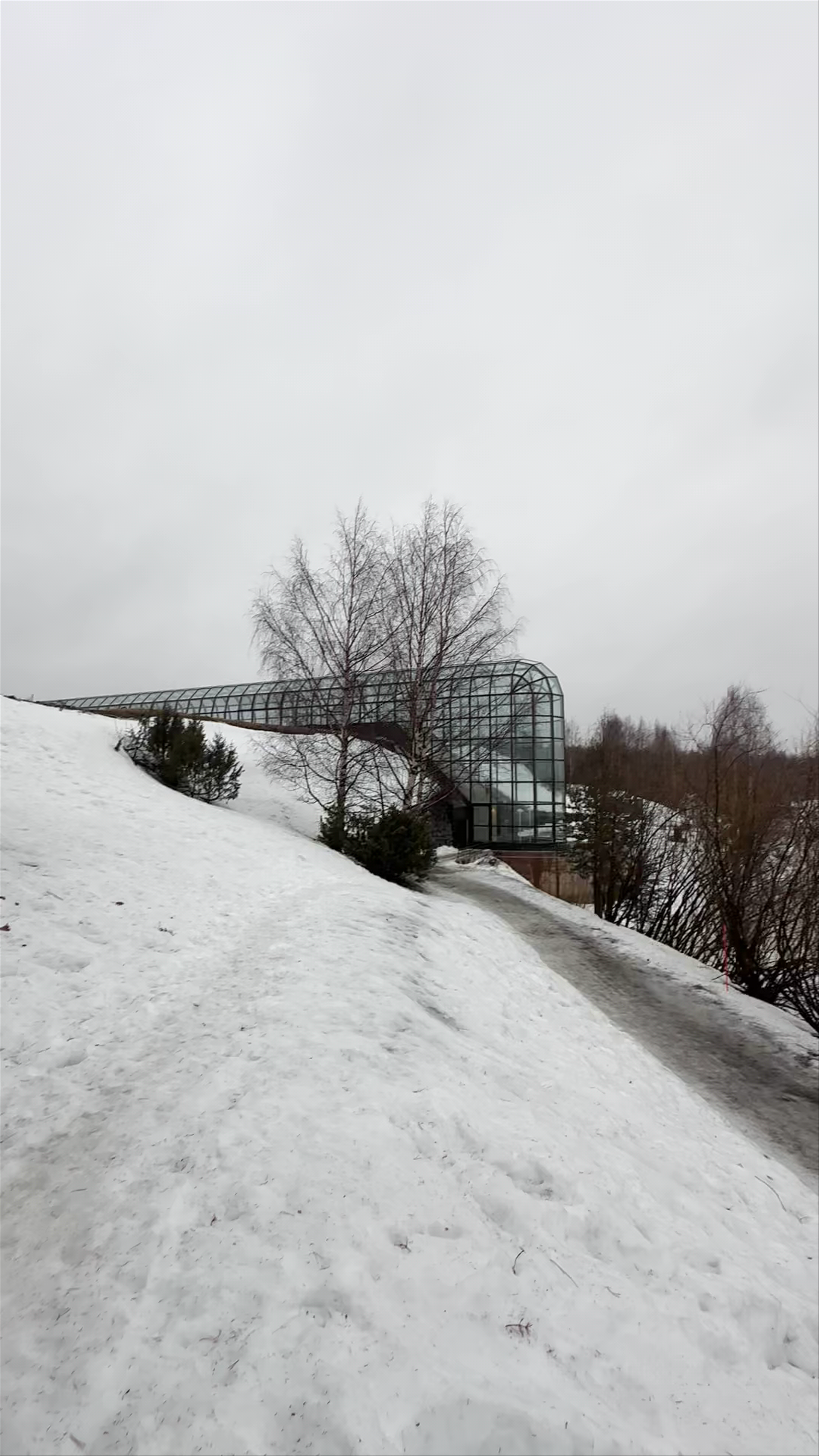 Winter Walk Through Arktikum Arboretum, Rovaniemi, Finland