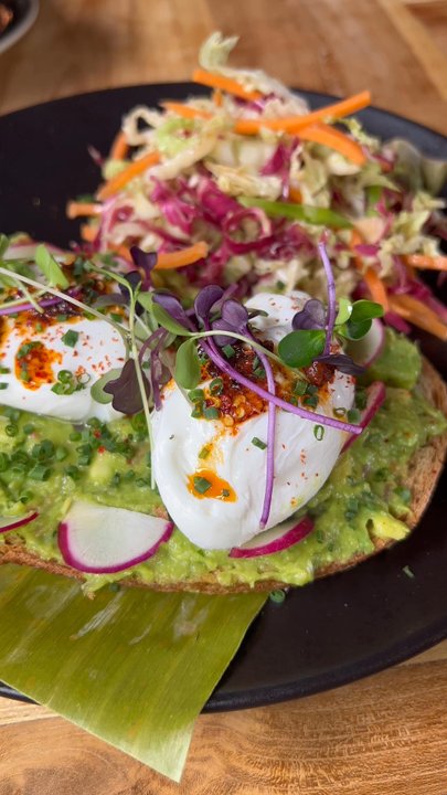 Bohemia - Avocado toast - Cocktail Bars Near Me - Brooklyn, New York