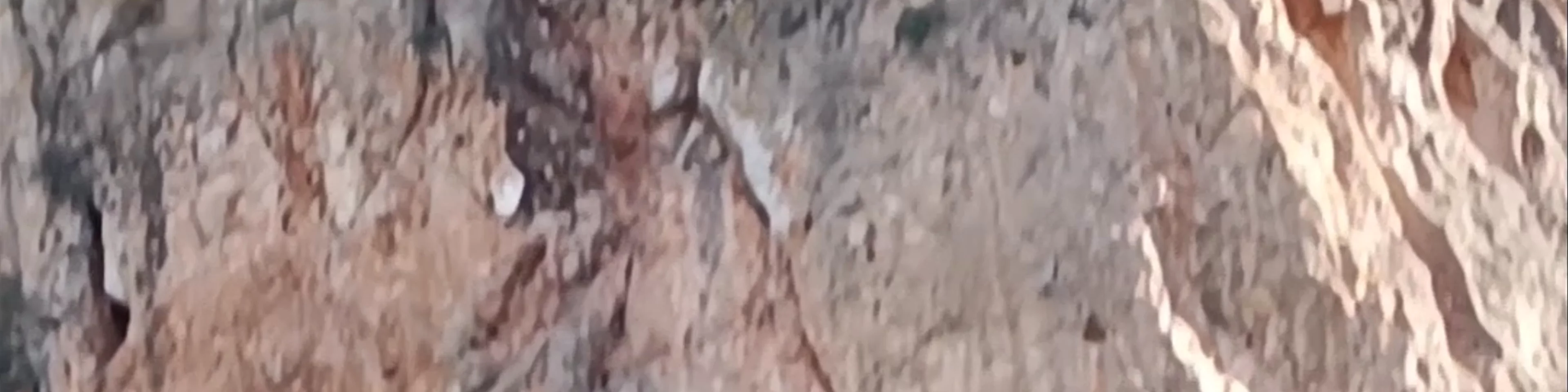 Cresta del Gallo