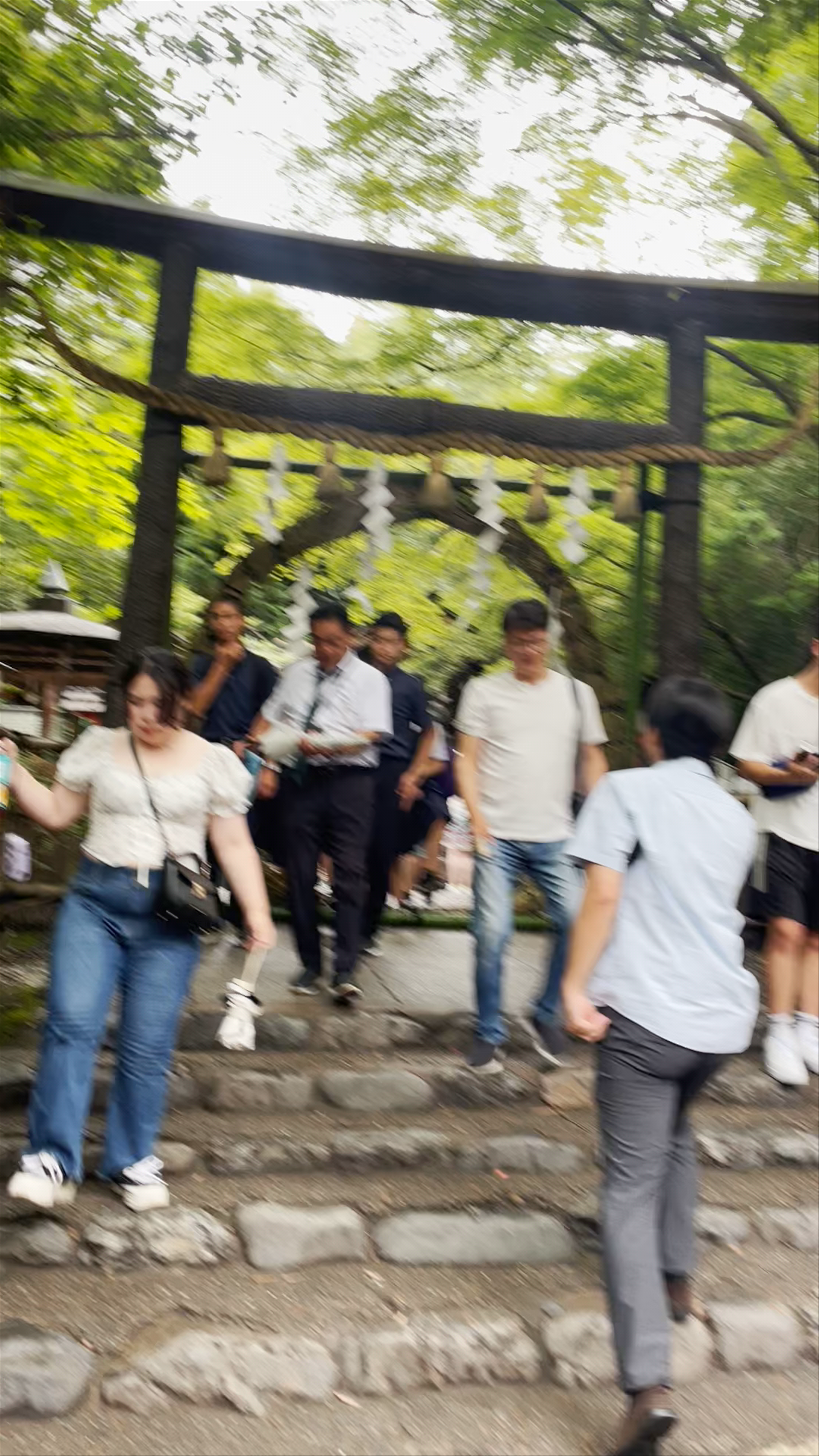 Arashiyama Bamboo Grove