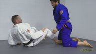 Leg Bundle Gable Grip Reversal