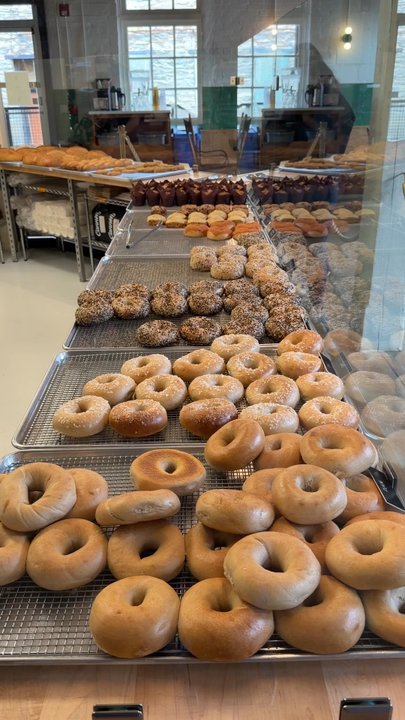 Twin Bears Bakery - Bakeries Near Me - Frederick, Maryland