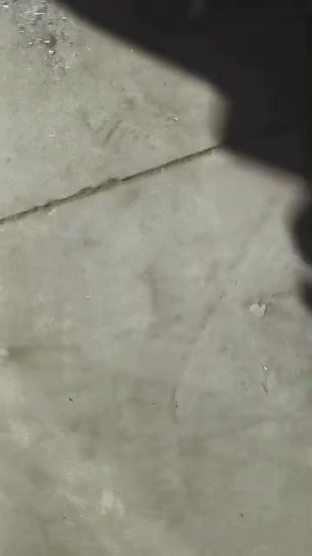 Walk-around video thumbnail