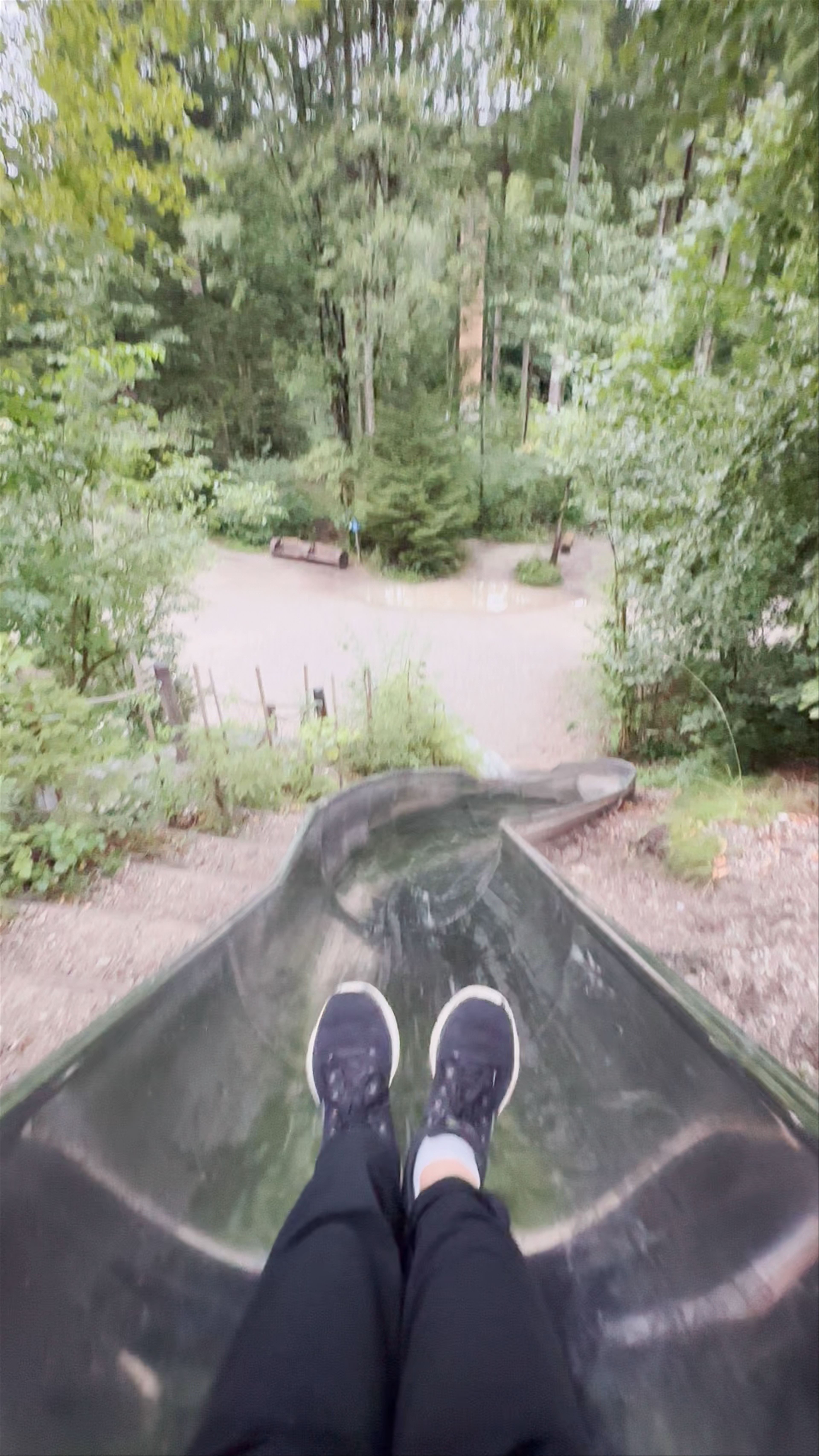 Forest Experience Center Ziegelwies