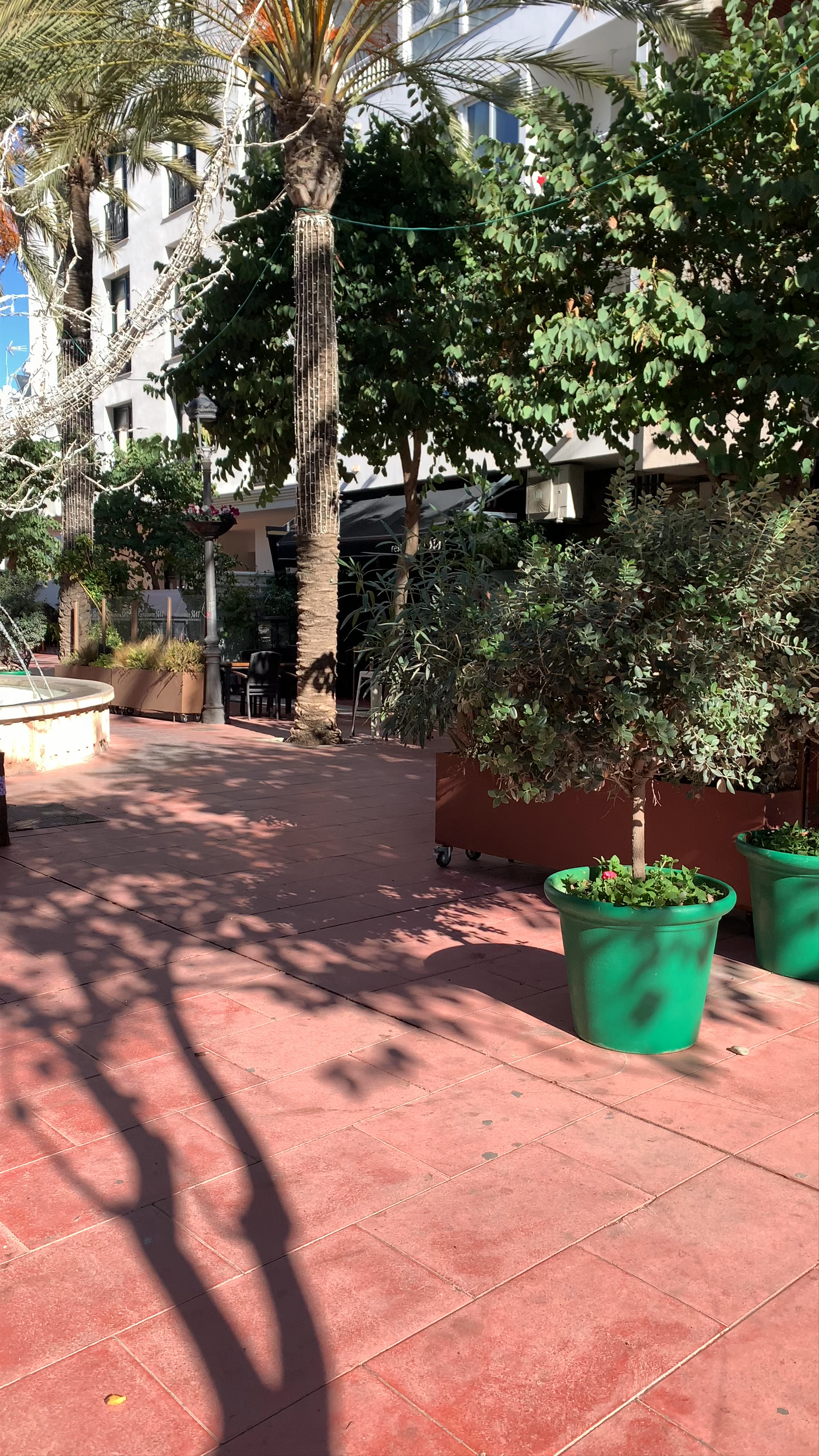 Plaza Ortiz