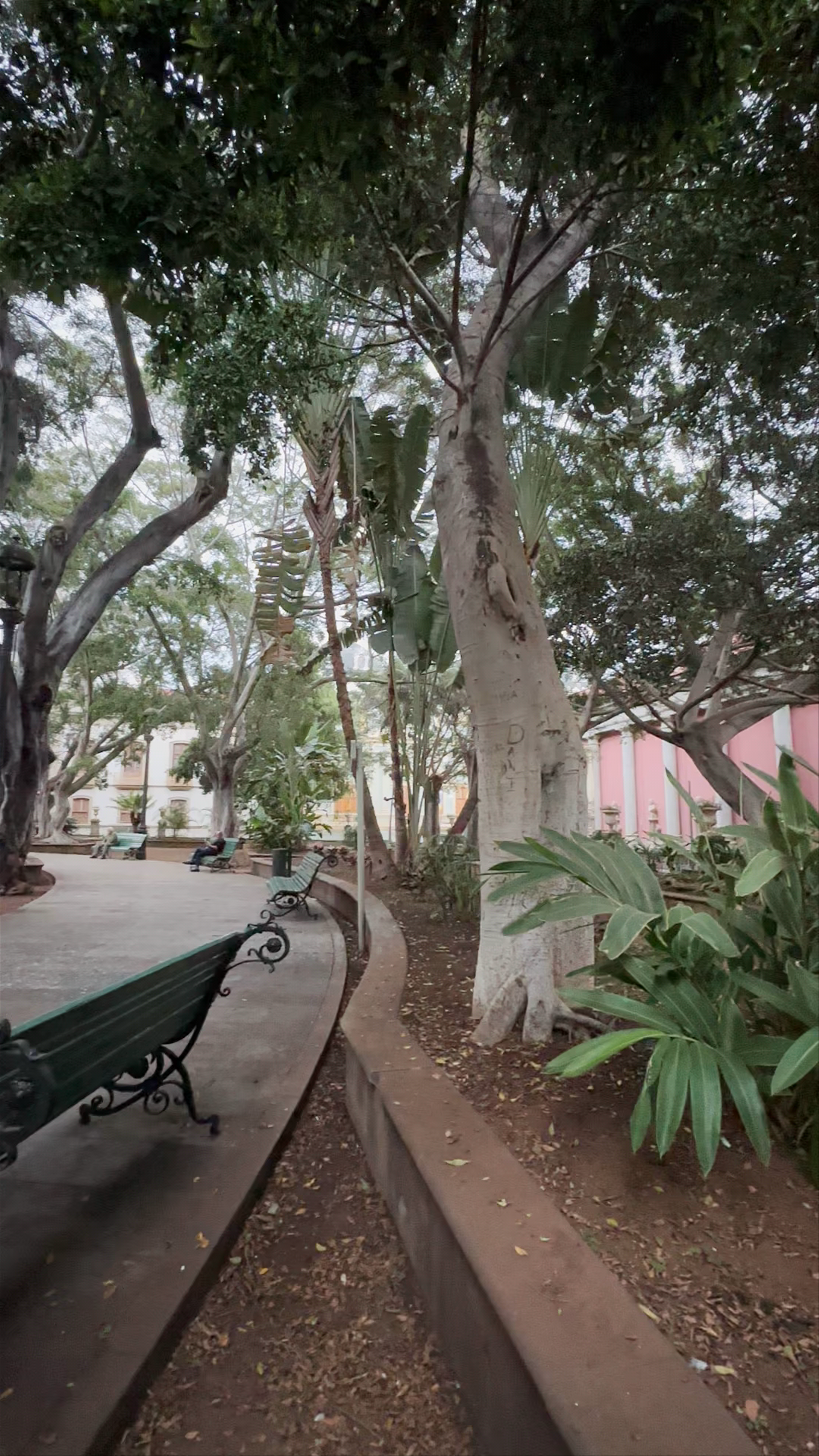 Plaza del Príncipe de Asturias: A Serene Urban Oasis in Santa Cruz de Tenerife