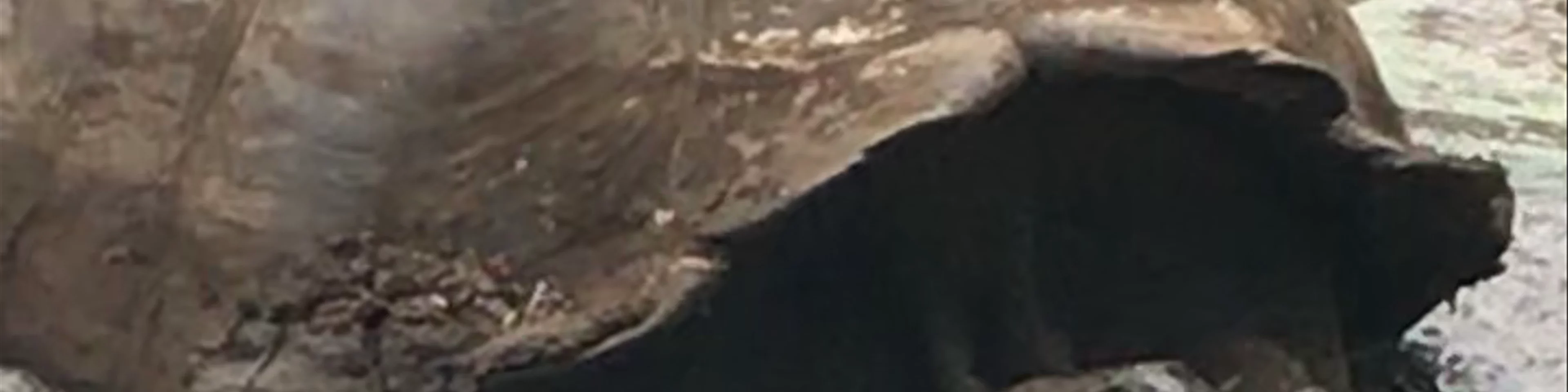 Parque Nacional Galápagos