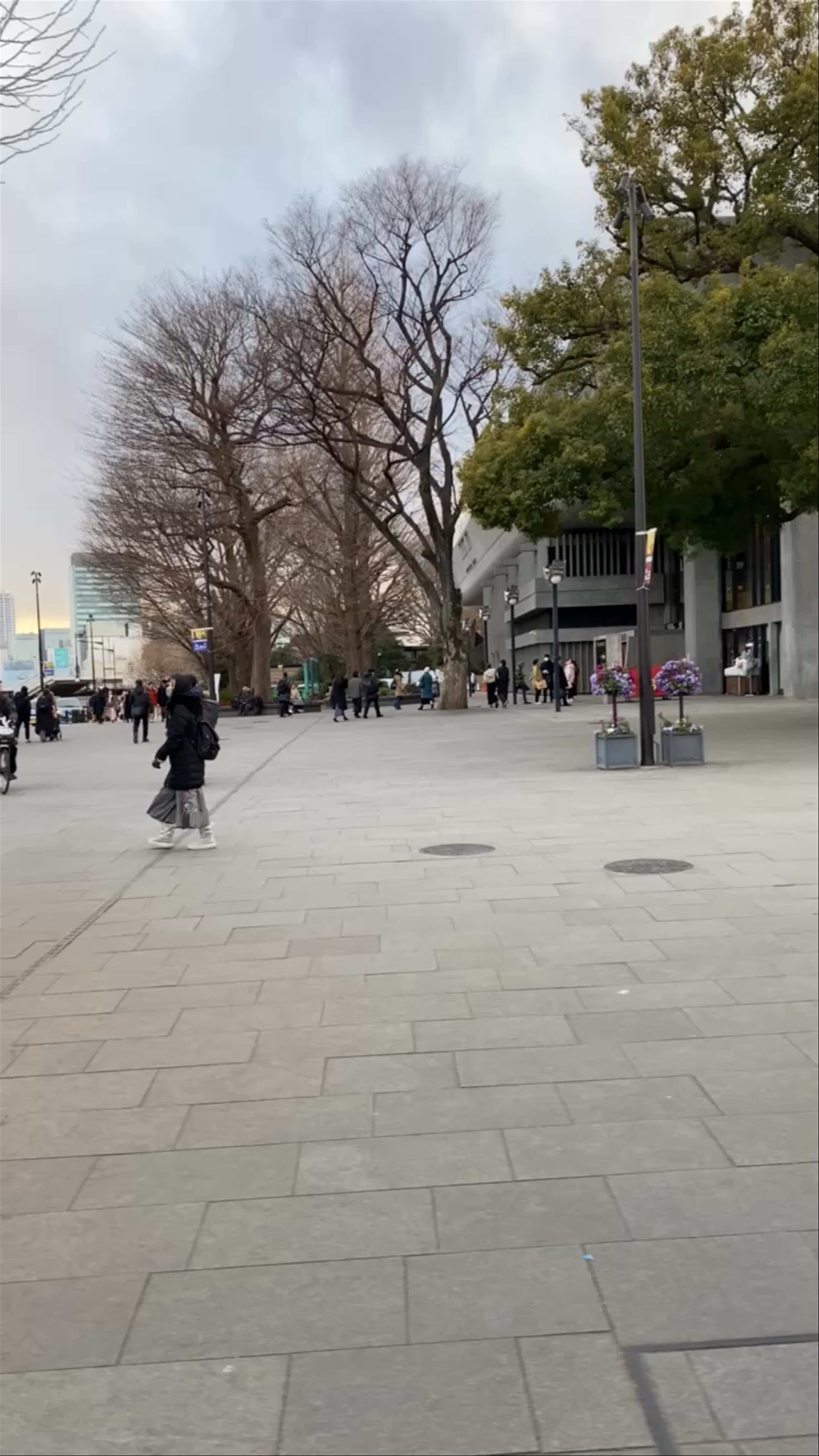 Winter at Parque Ueno, Tokyo – A Stroll Through Urban Nature and Cultural Energy