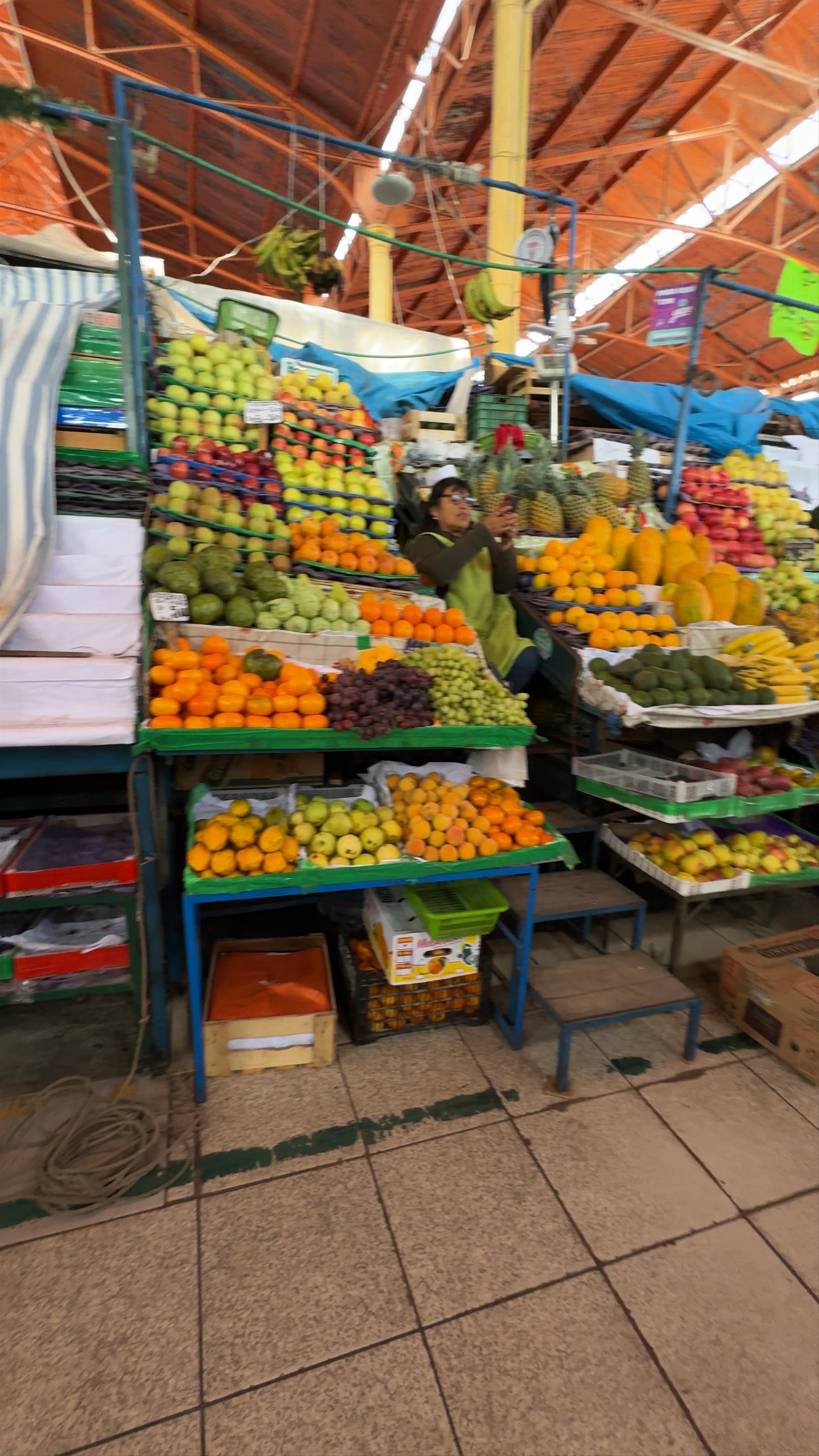 Mercado San Camilo