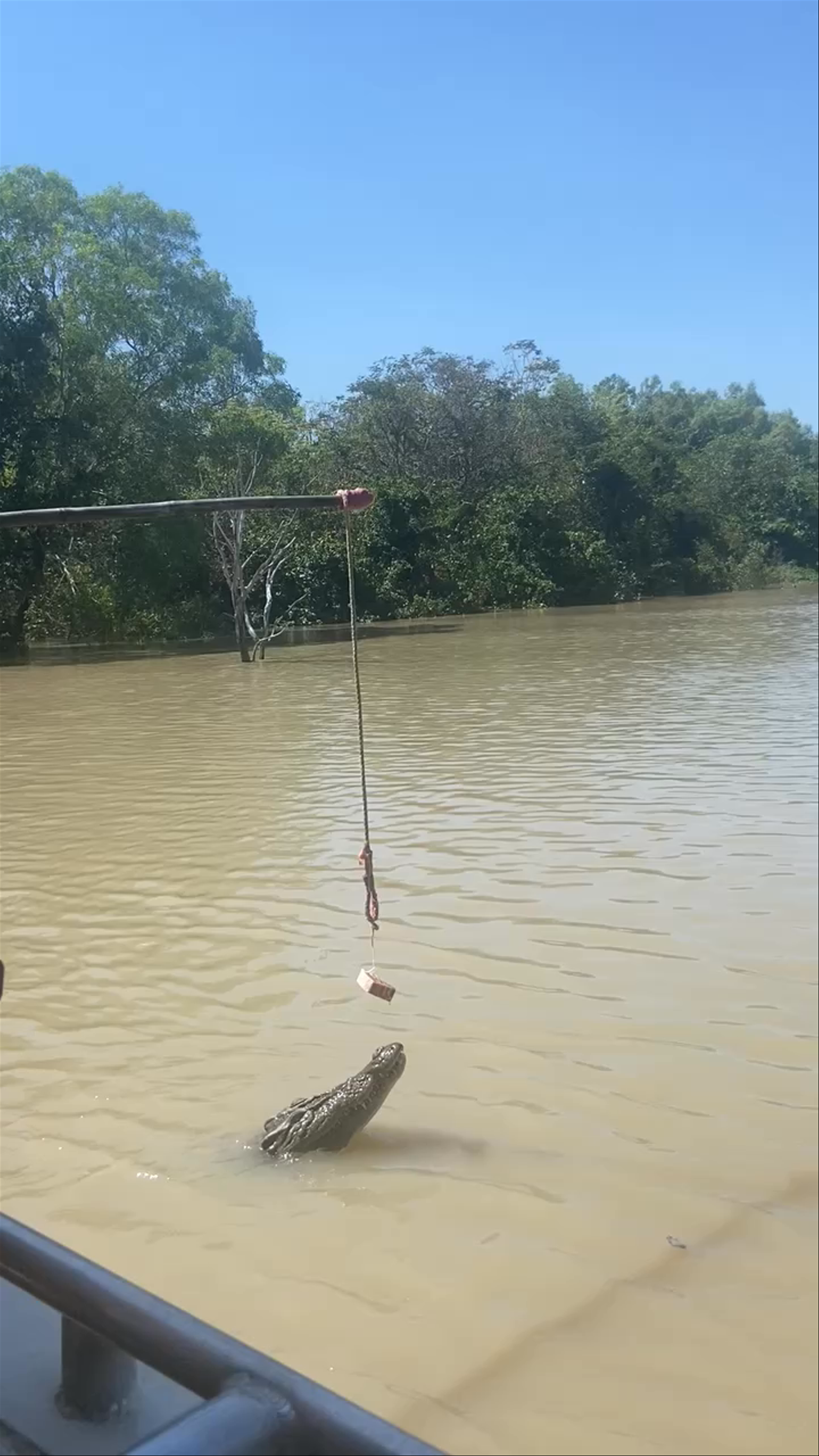 The Original Adelaide River Queen Jumping Crocodile Cruises