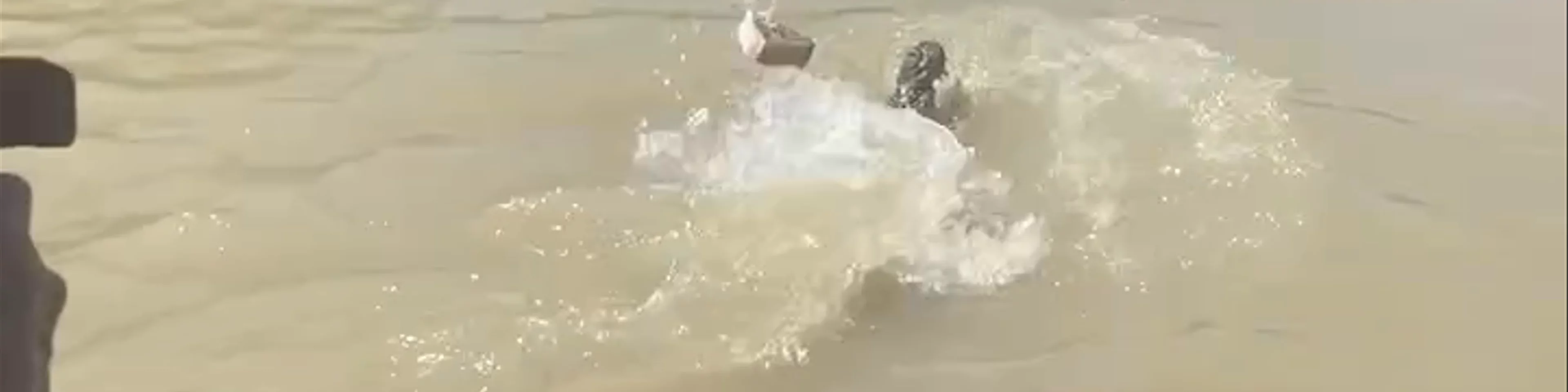 The Original Adelaide River Queen Jumping Crocodile Cruises