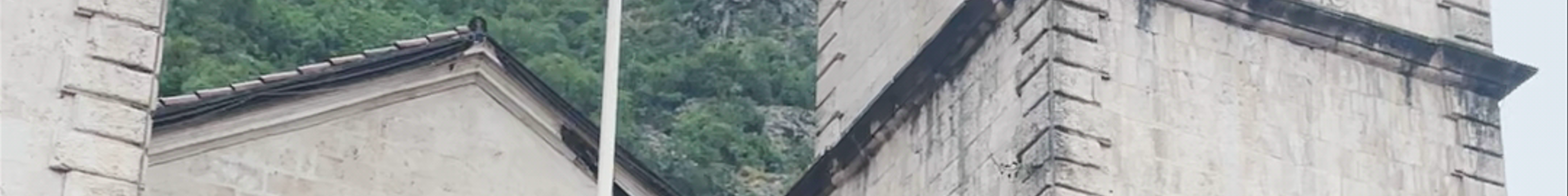 Tours & experiences in Kotor