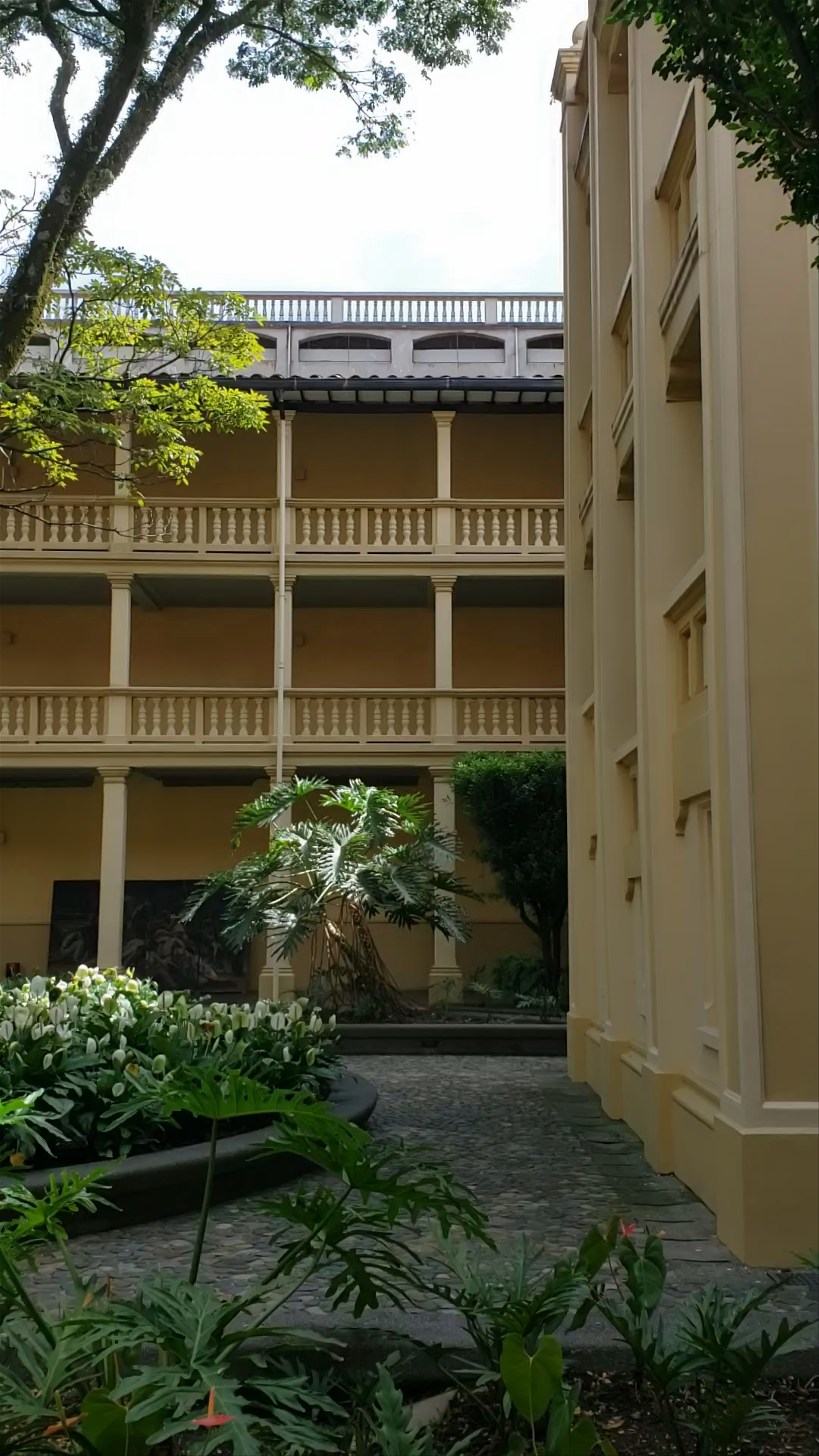 Edificio Paraninfo Universidad de Antioquia: Historic Courtyard in Medellín