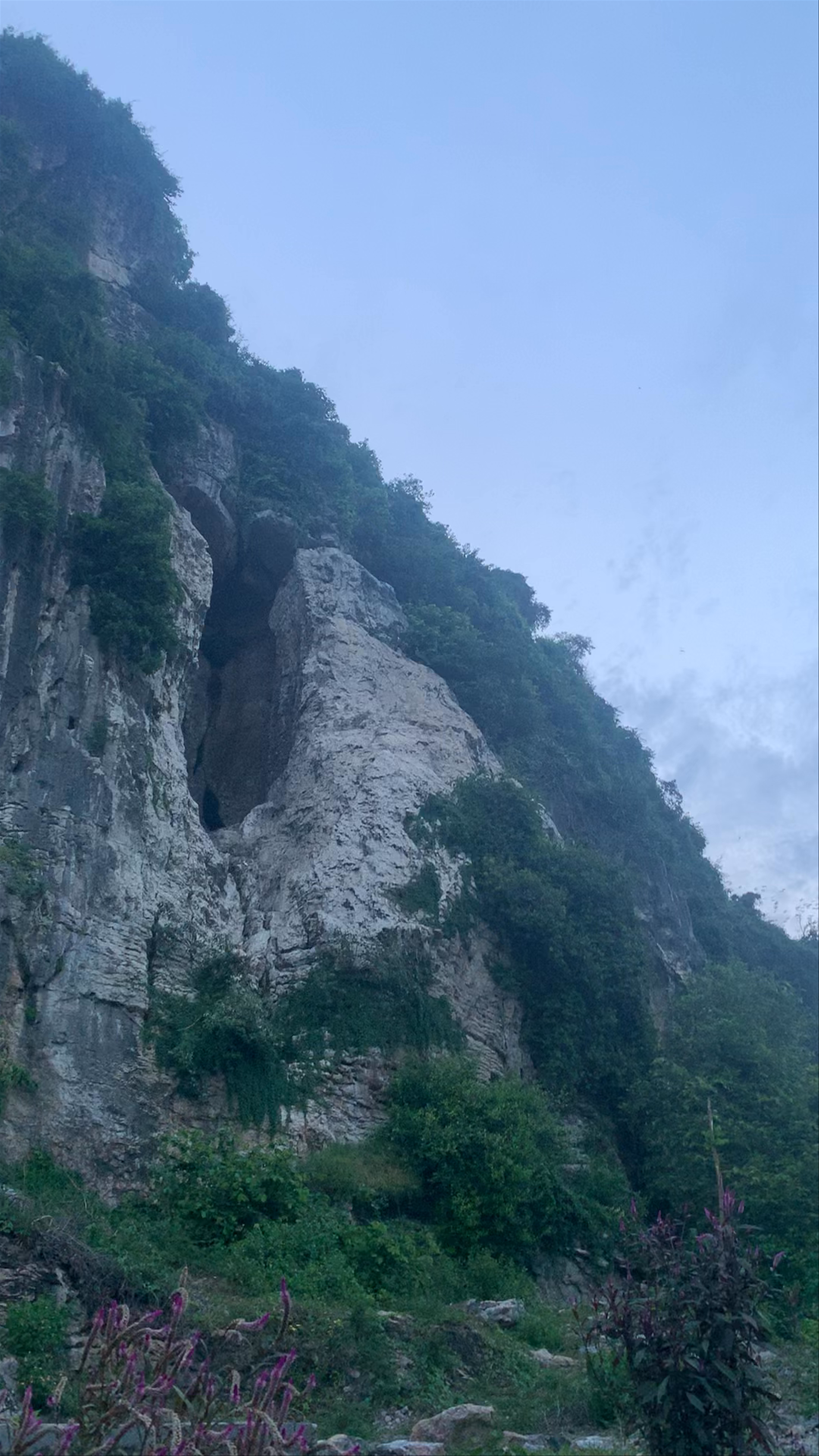 Bat Cave Phnom Sampov