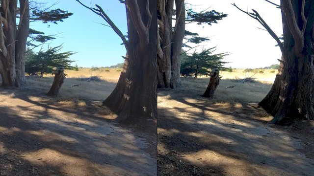 Video Placeholder