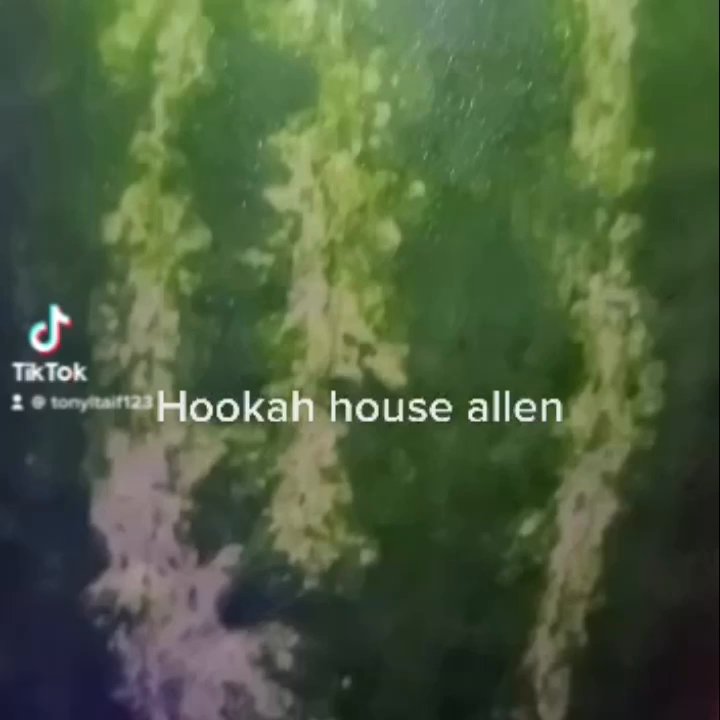 Hookah House Allen - Hookah Bars Near Me - Lucas, Texas