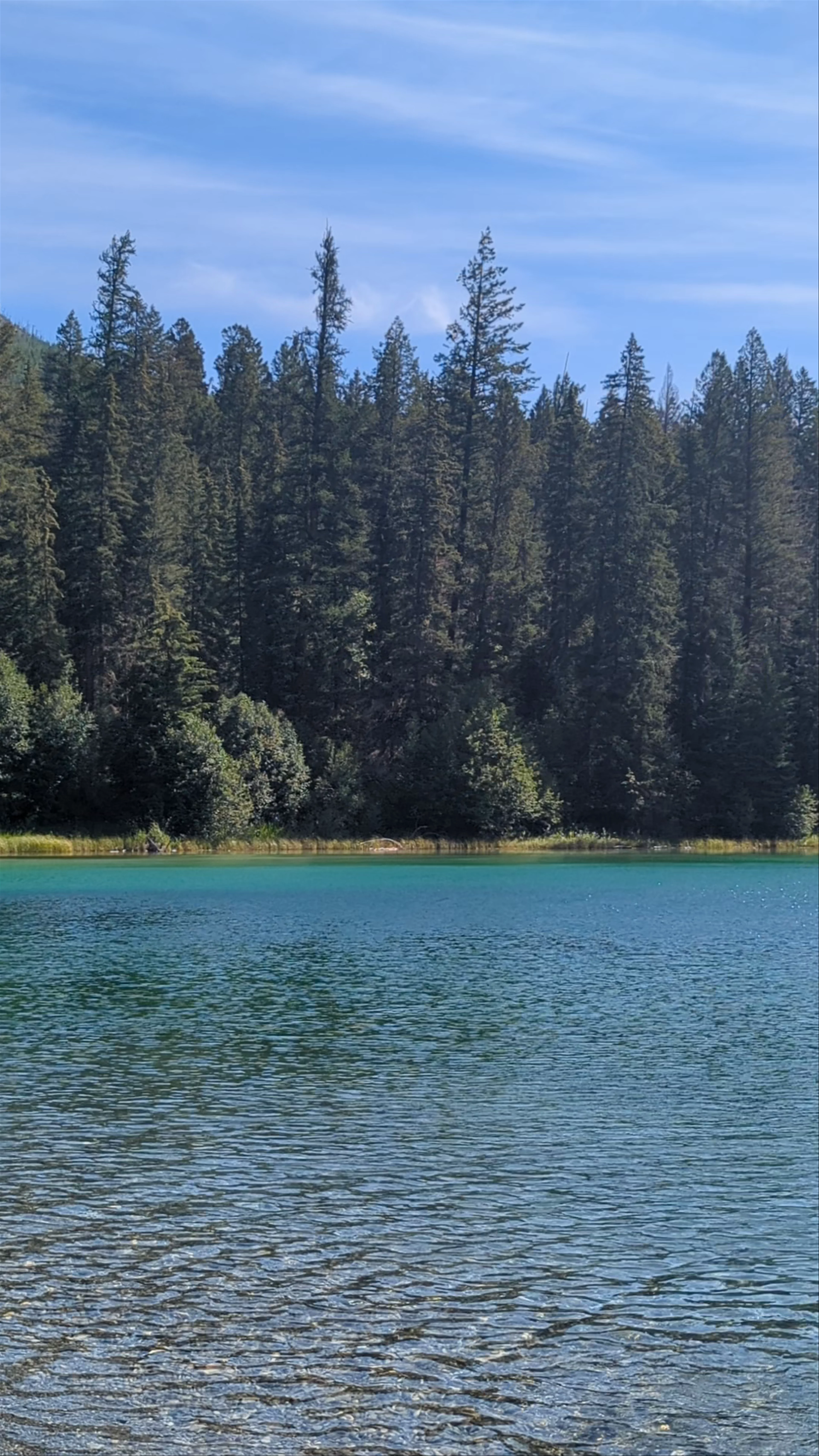 Alces Lake