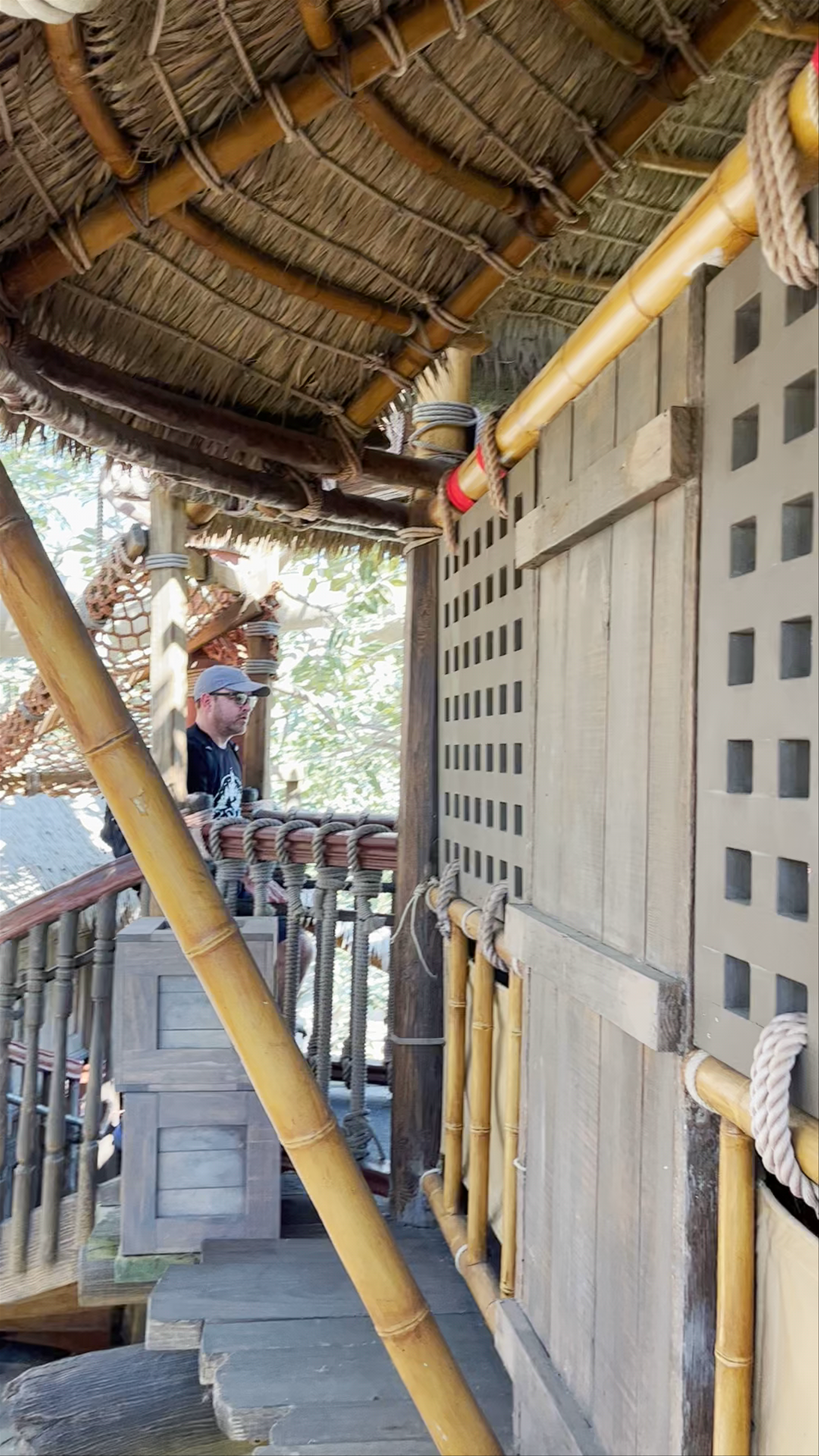 Swiss Family Treehouse