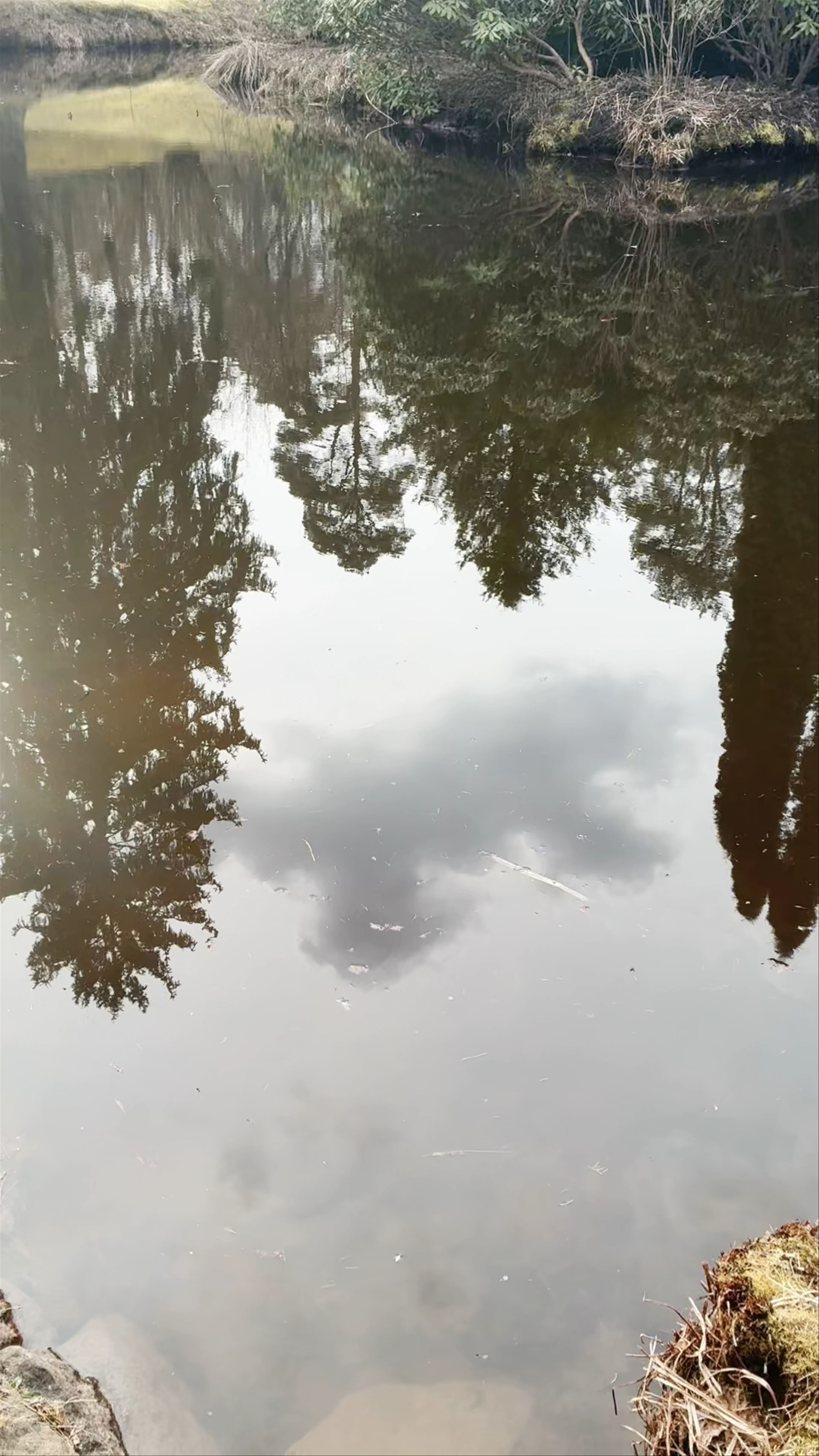 Шпаковского Park