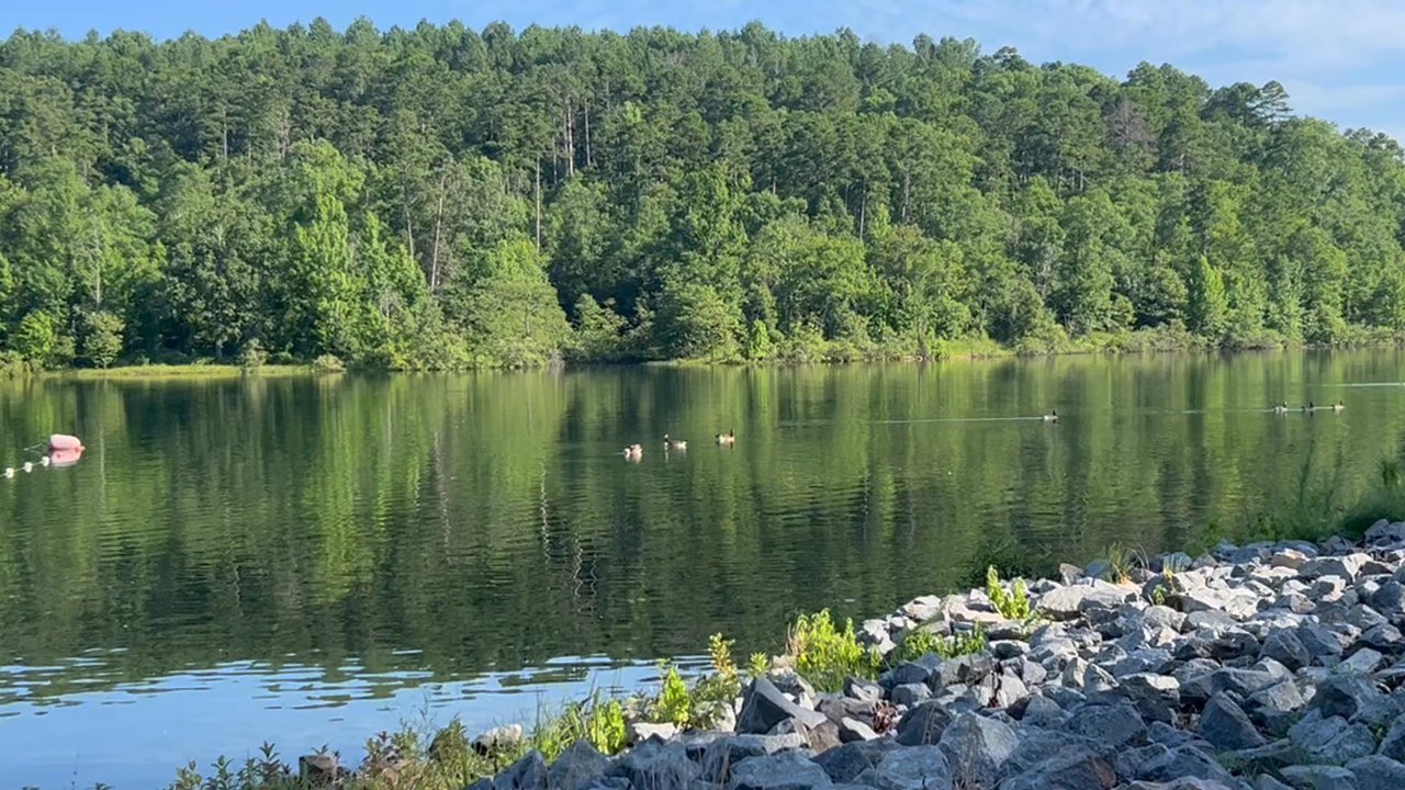 Lake Ouachita State Park - Lakes Near Me - Mountain Pine, Arkansas
