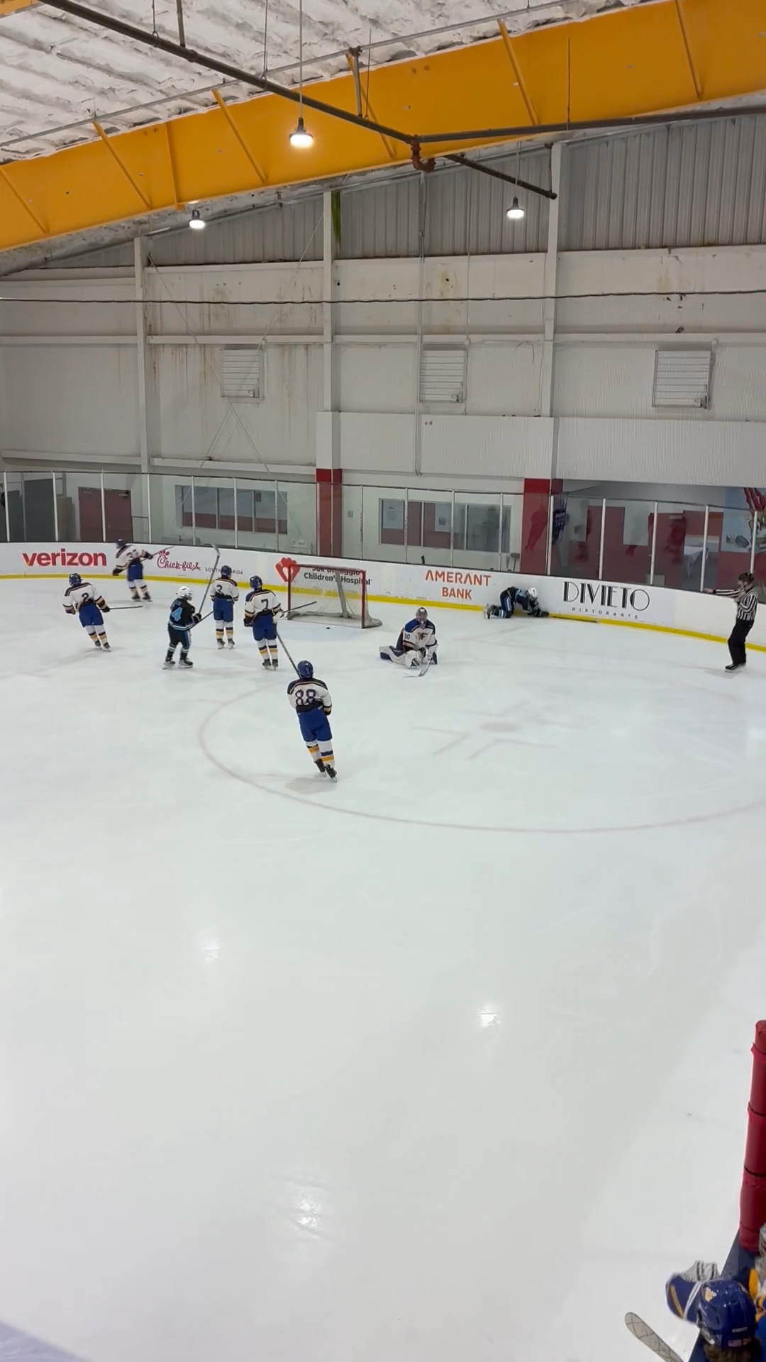 Lukas Lopes Samalekis: Hard Forecheck Leads to Impressive Goal!