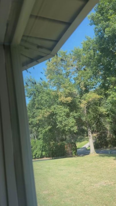 Best Bee Removal - Pest Control Near Me - Stevens, Pennsylvania