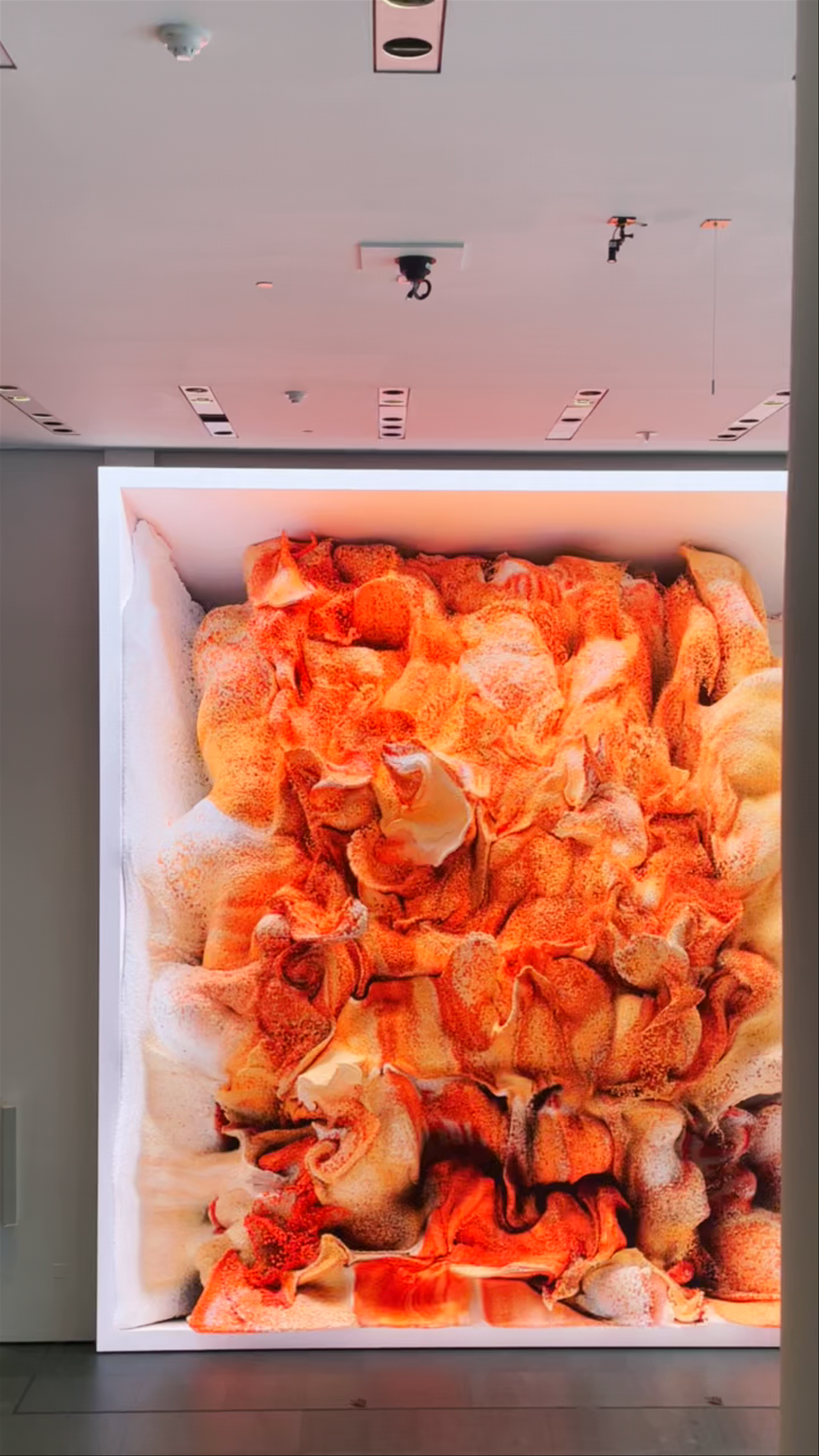 Immersive Digital Art at MoMA, New York