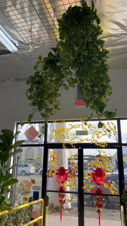 Rainbow - Inside - Nurseries & Gardening Near Me - Rosemead, California