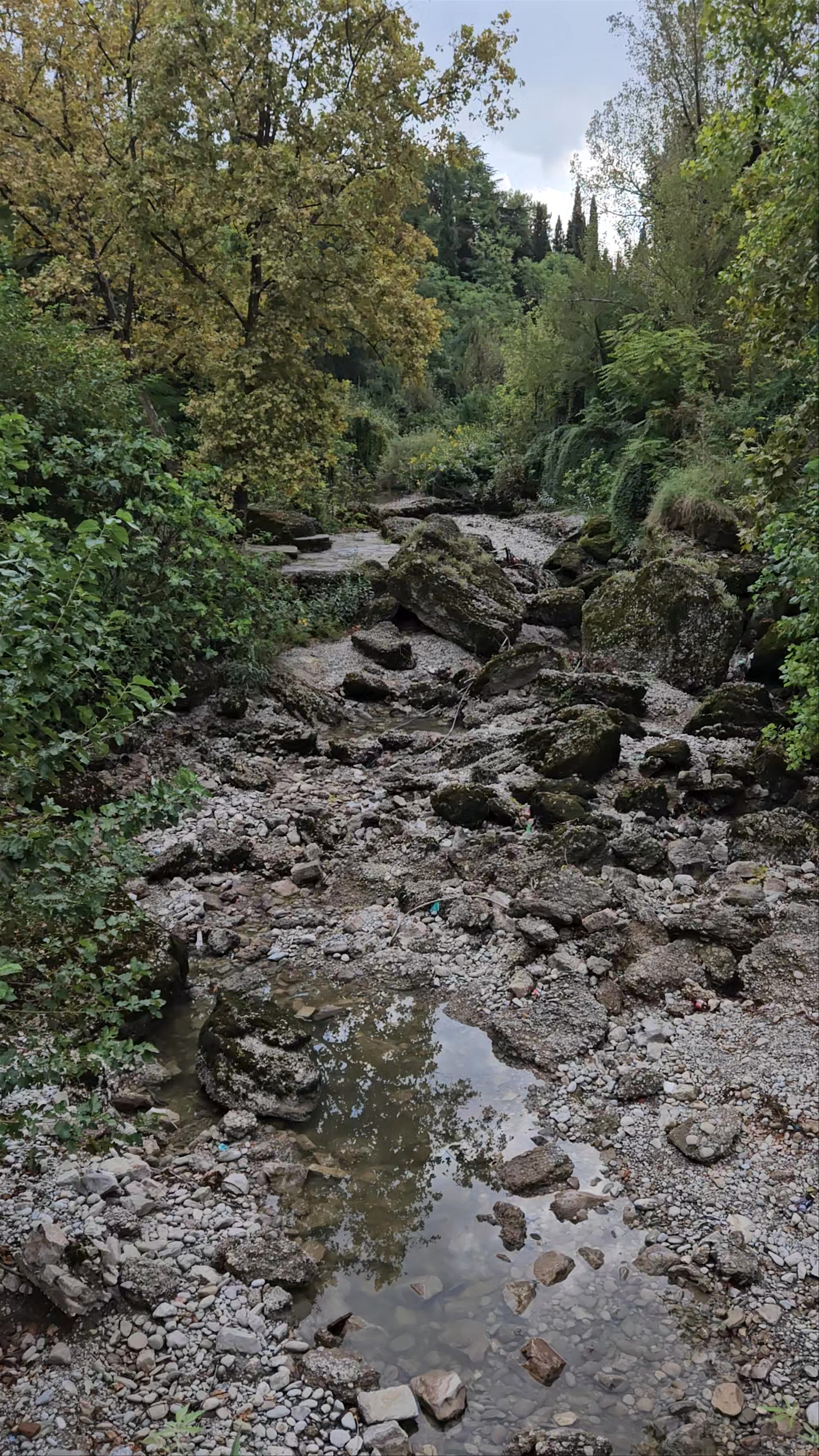 Old Ribnica River Bridge