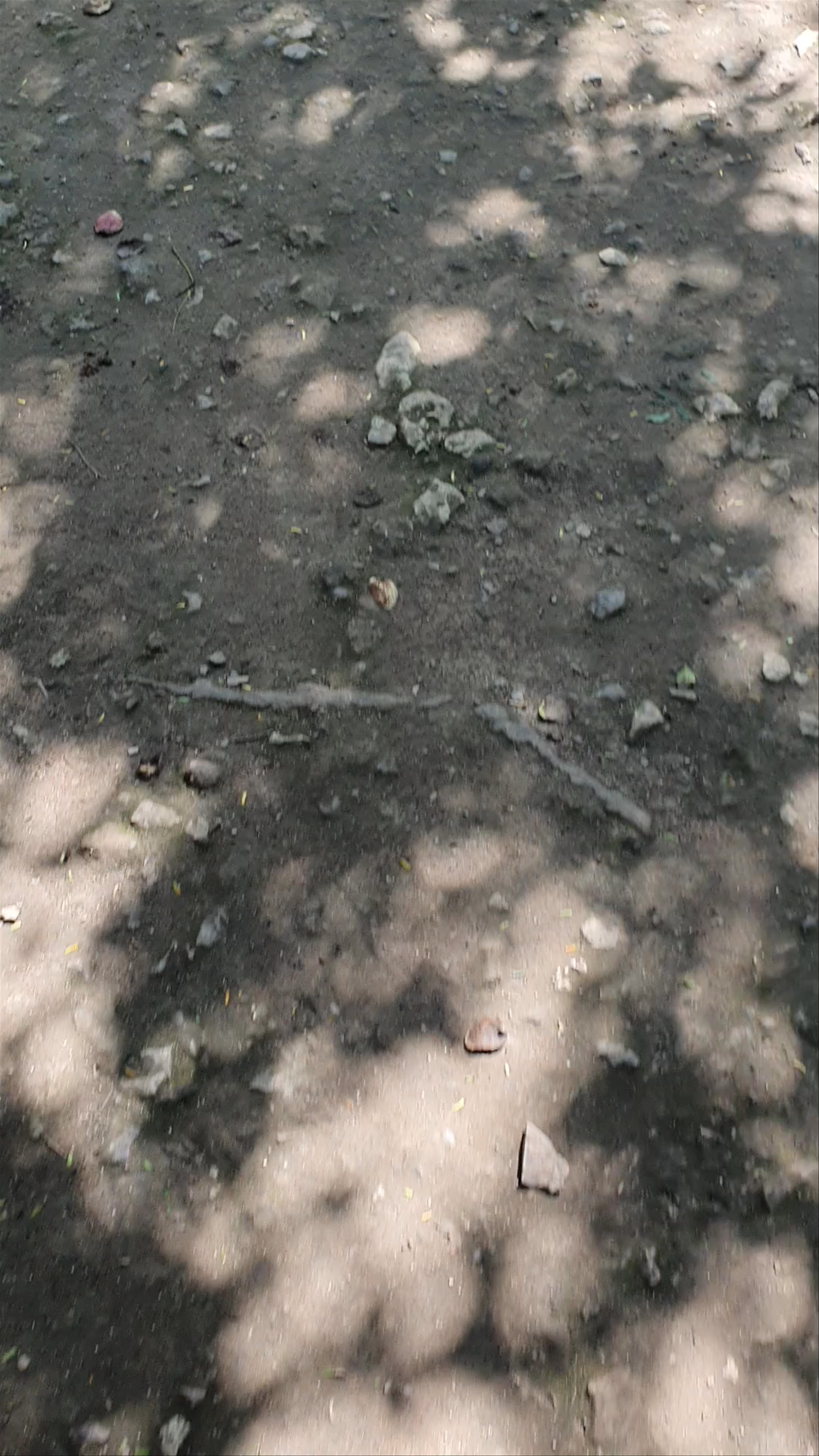 Coba archaeological site